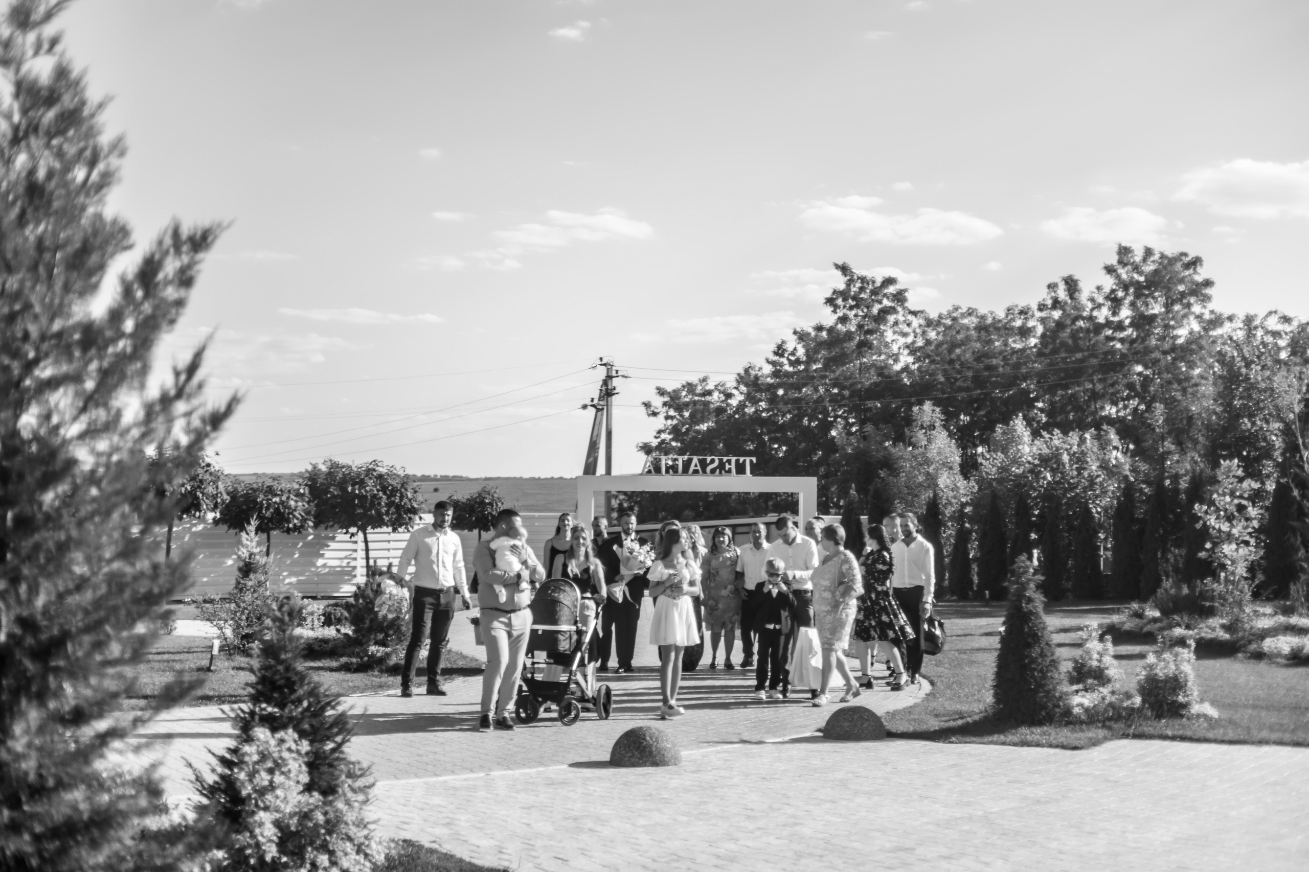 Liviu & Vergilia. ProWed — Foto Video Moldova și România