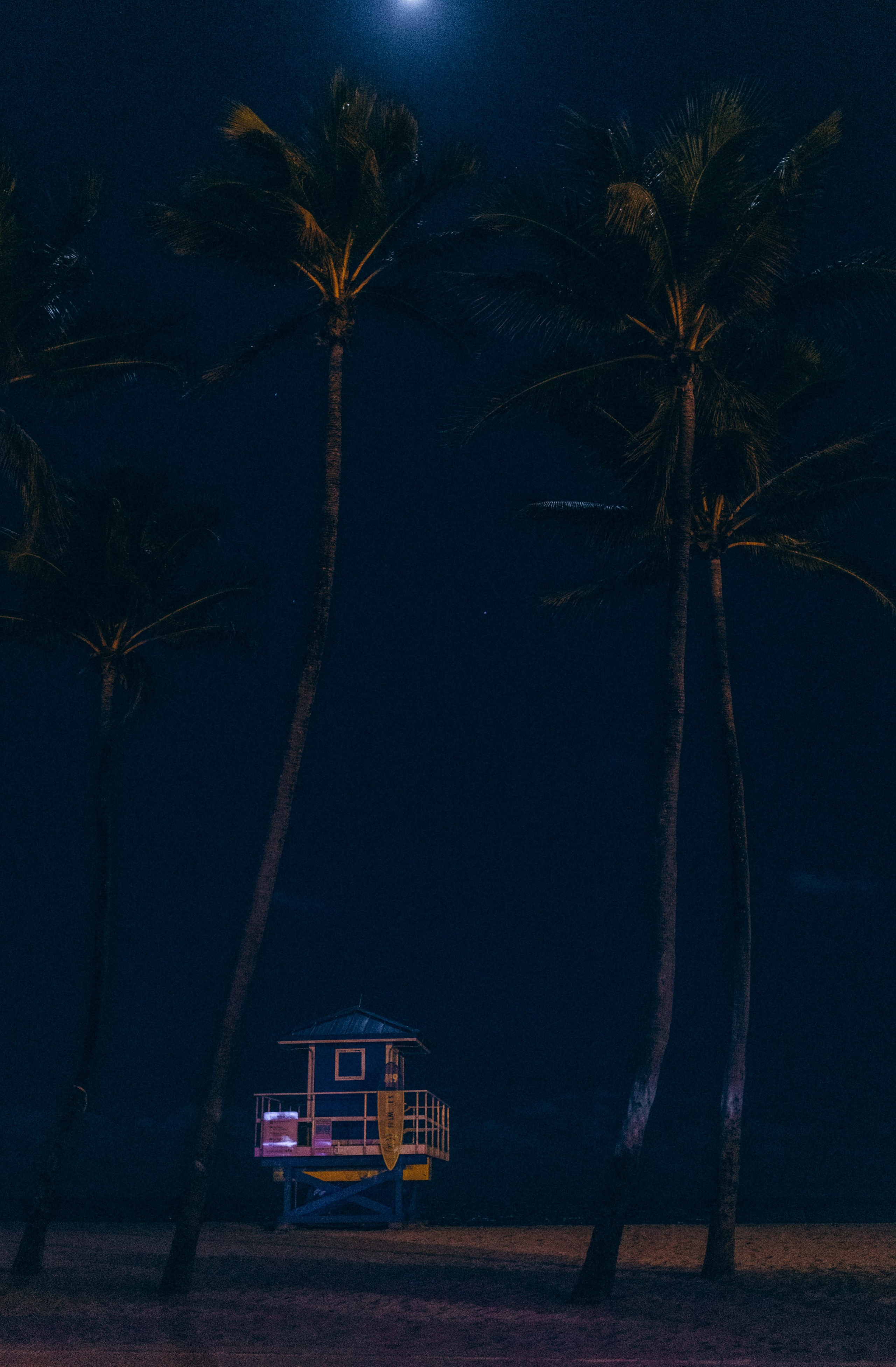 STREET. TETIANA UDOVYCHENKO PORTRAIT PHOTOGRAPHER