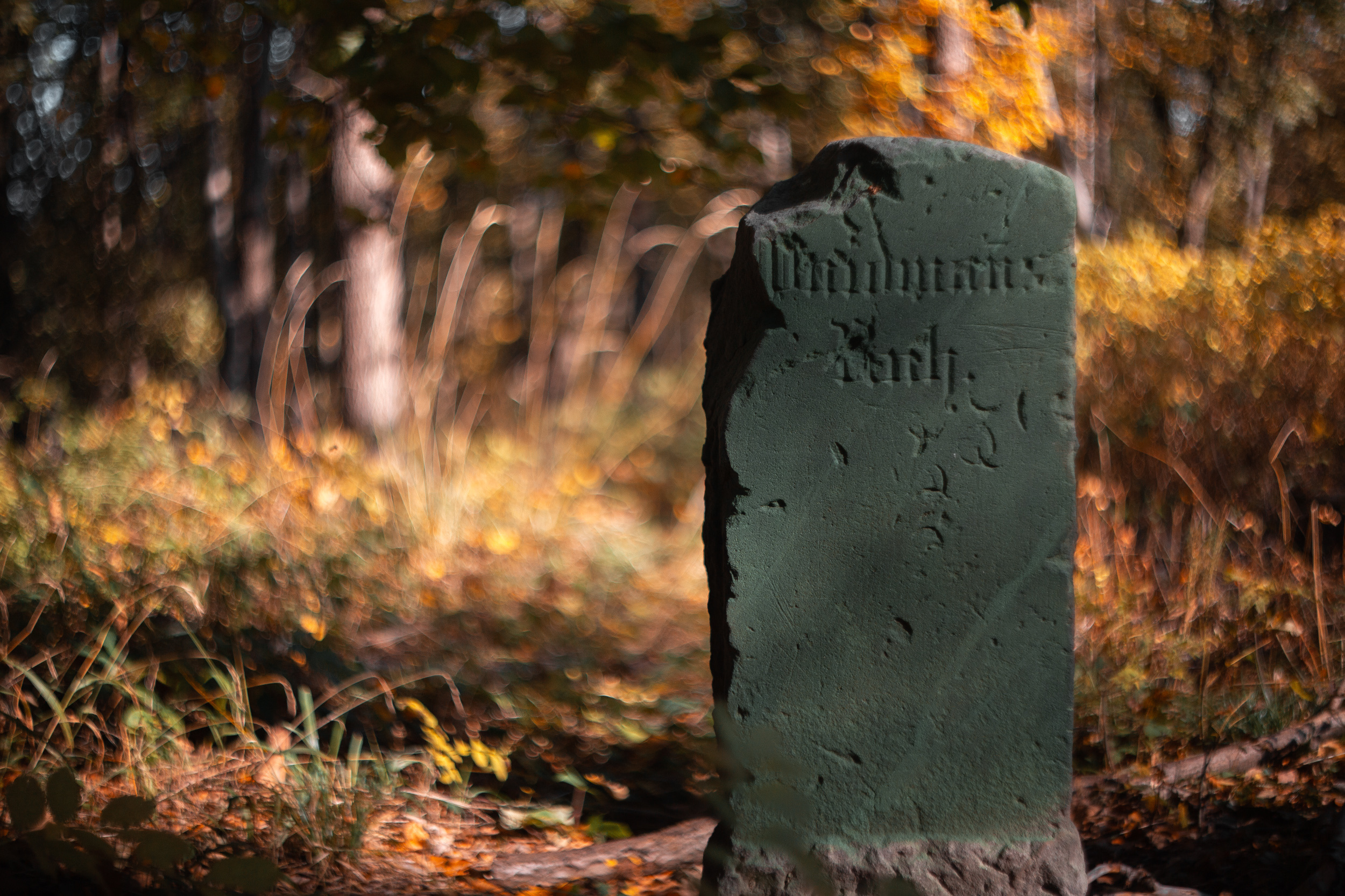 Walk with ols Soviet lenses. Dimitri Ilkov Photography — Capturing Life’s Moments in Edmonton, Cana