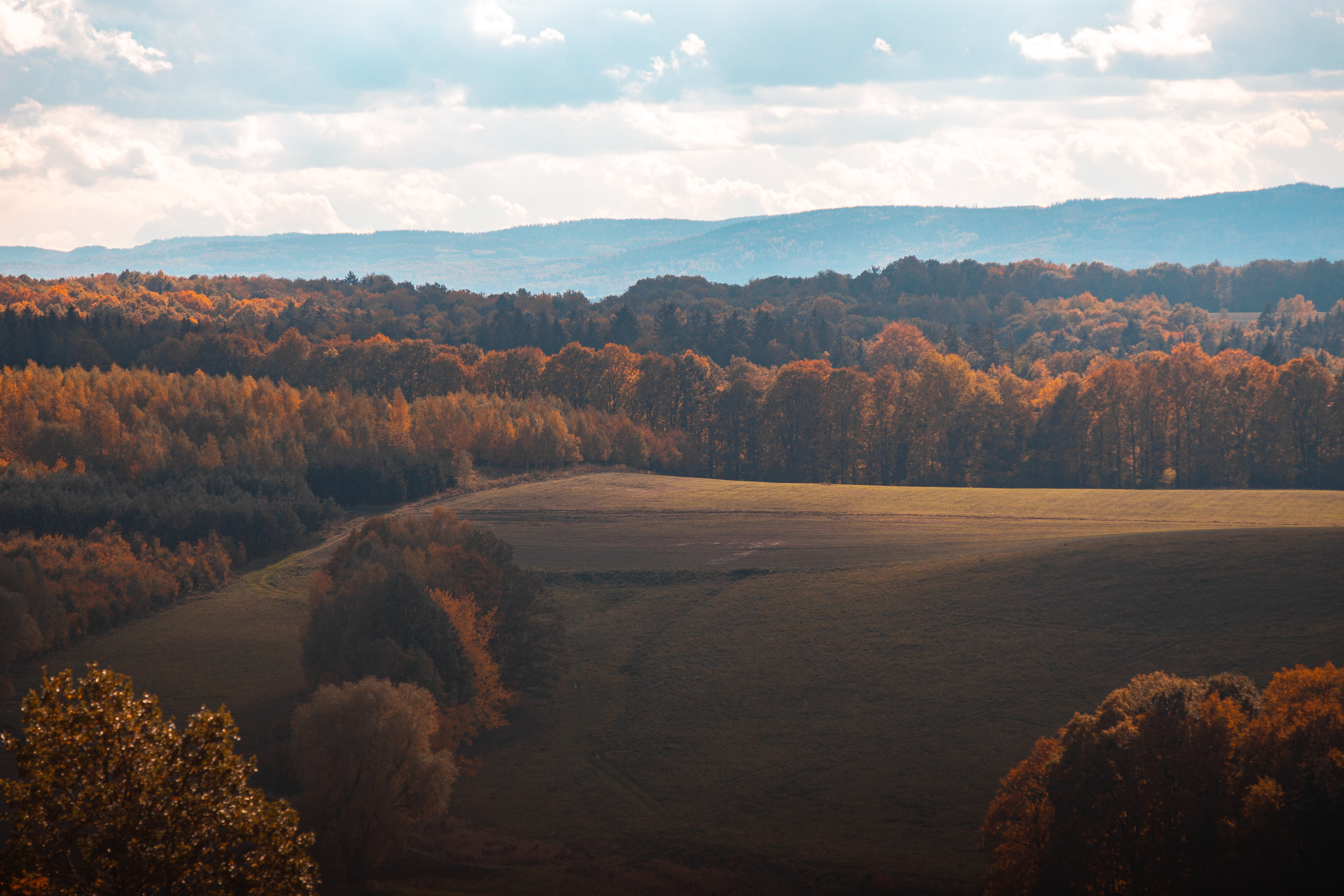 Walk with ols Soviet lenses. Dimitri Ilkov Photography — Capturing Life’s Moments in Edmonton, Cana