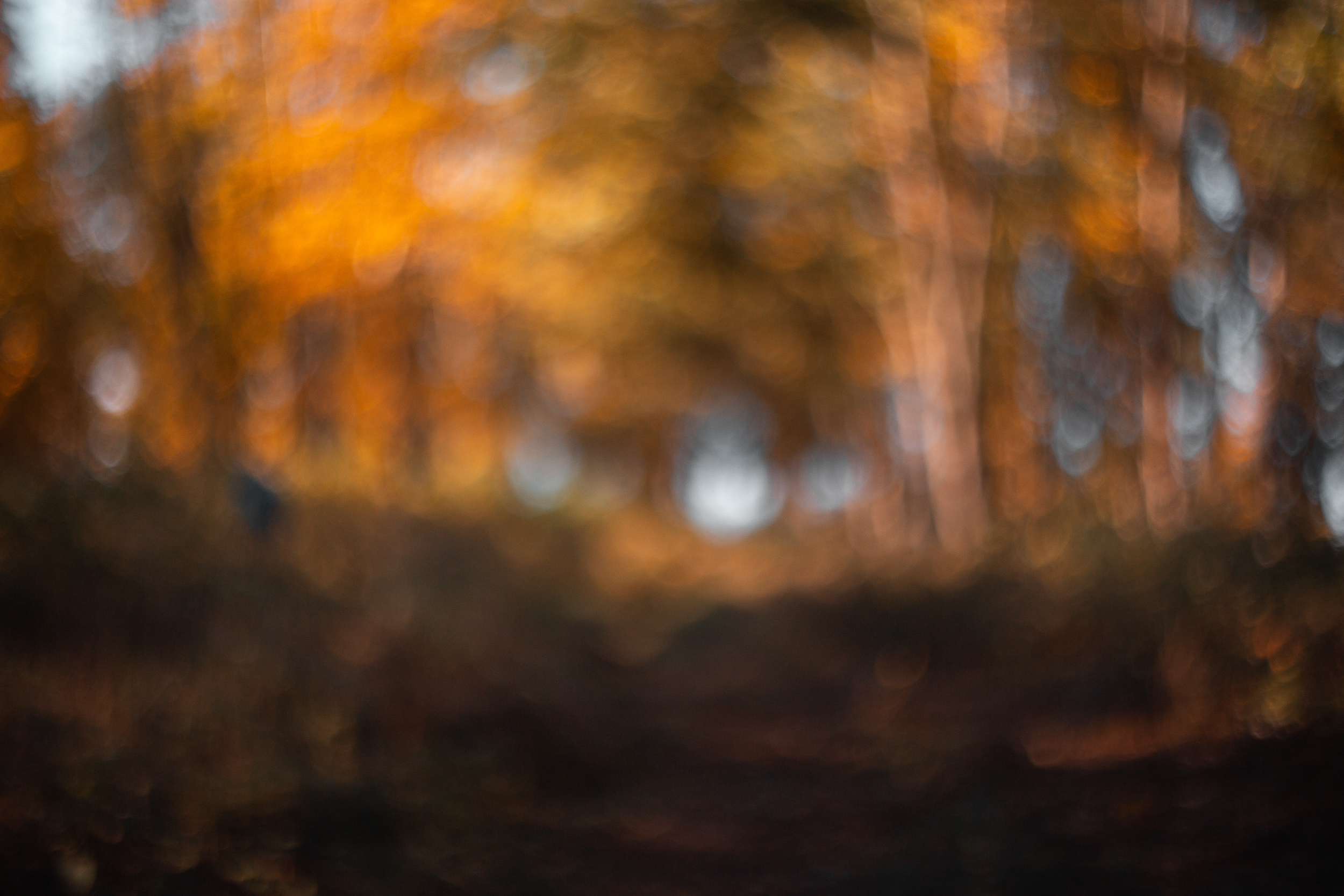 Walk with ols Soviet lenses. Dimitri Ilkov Photography — Capturing Life’s Moments in Edmonton, Cana