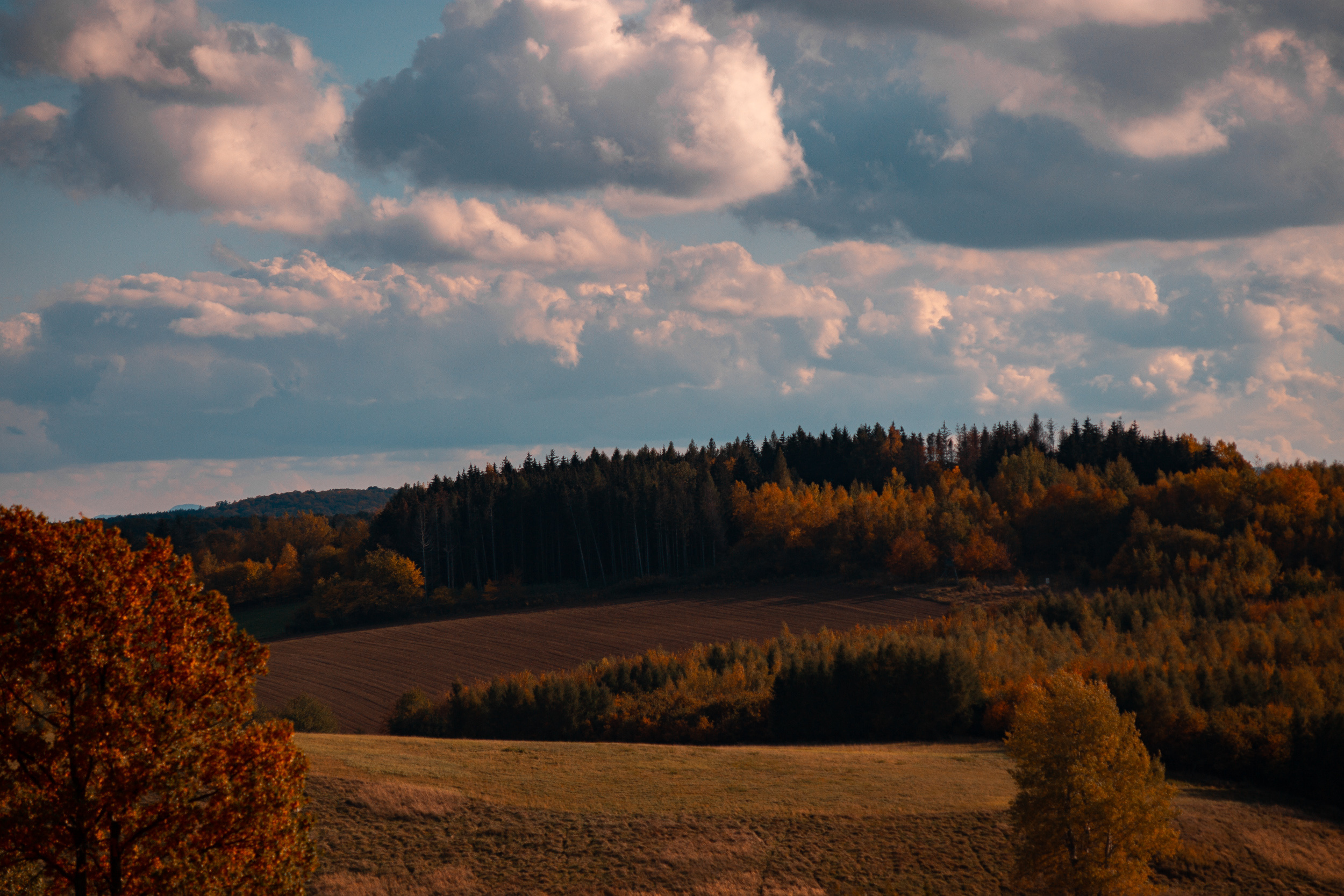 Walk with ols Soviet lenses. Dimitri Ilkov Photography — Capturing Life’s Moments in Edmonton, Cana