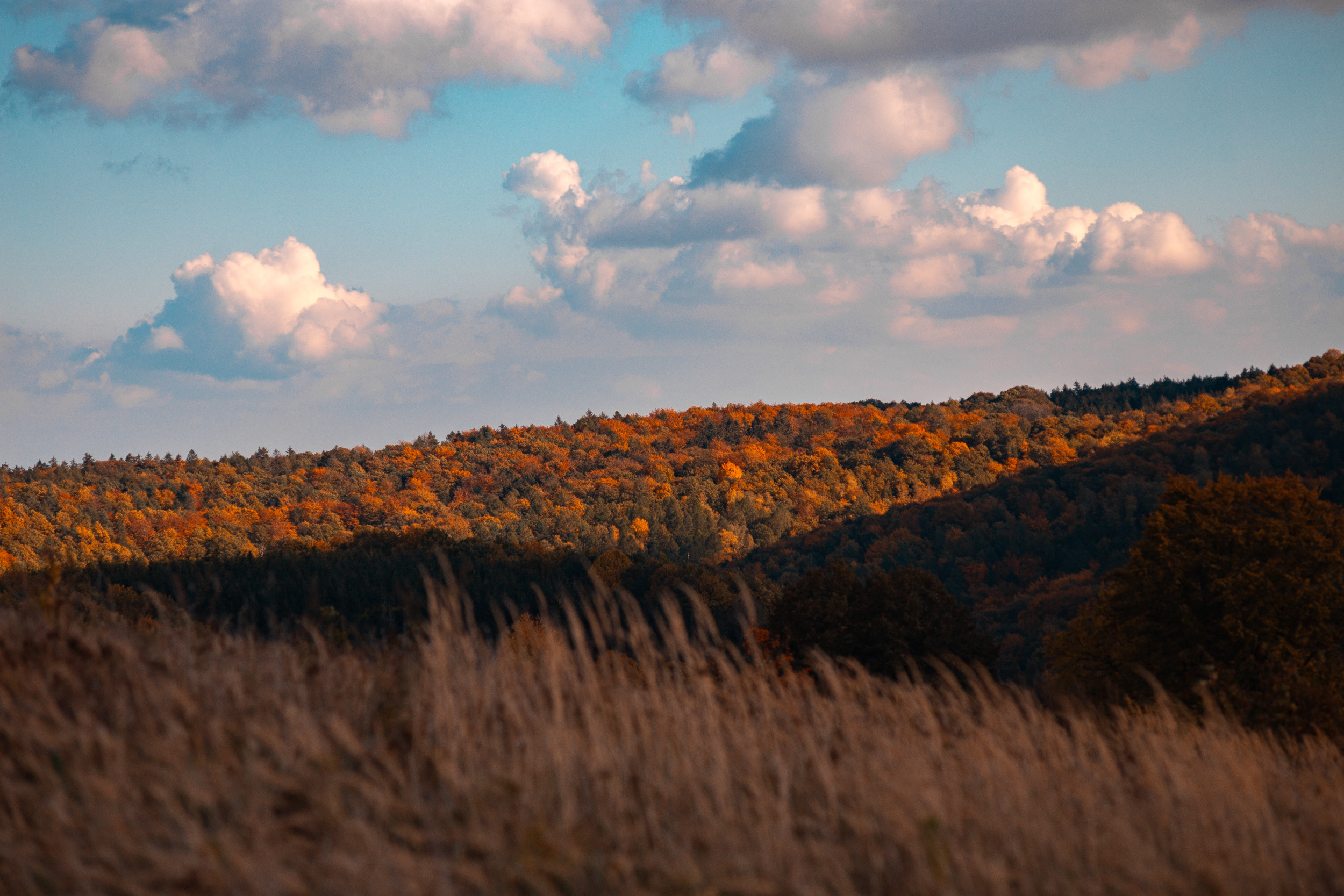 Walk with ols Soviet lenses. Dimitri Ilkov Photography — Capturing Life’s Moments in Edmonton, Cana