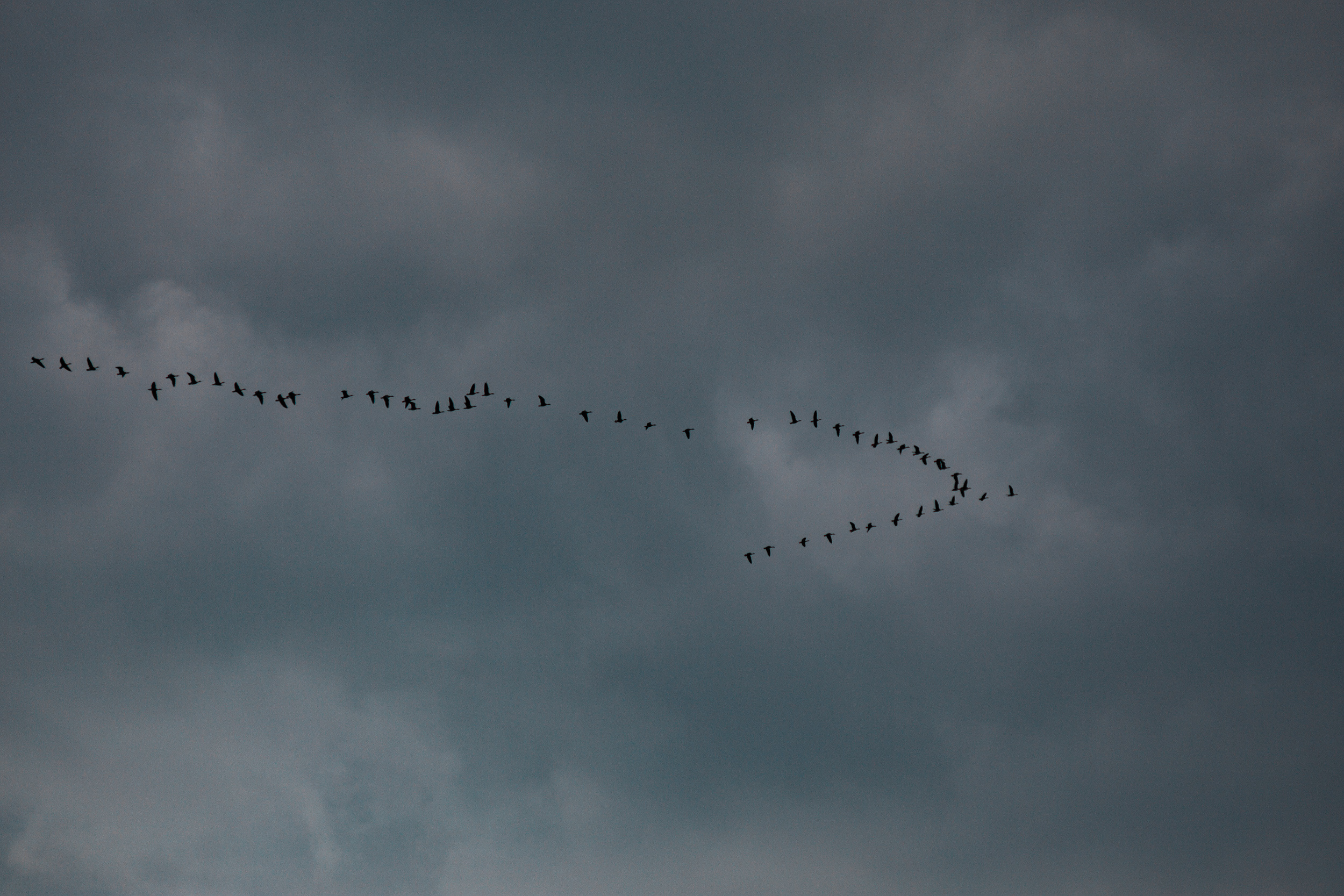 Walk with ols Soviet lenses. Dimitri Ilkov Photography — Capturing Life’s Moments in Edmonton, Cana
