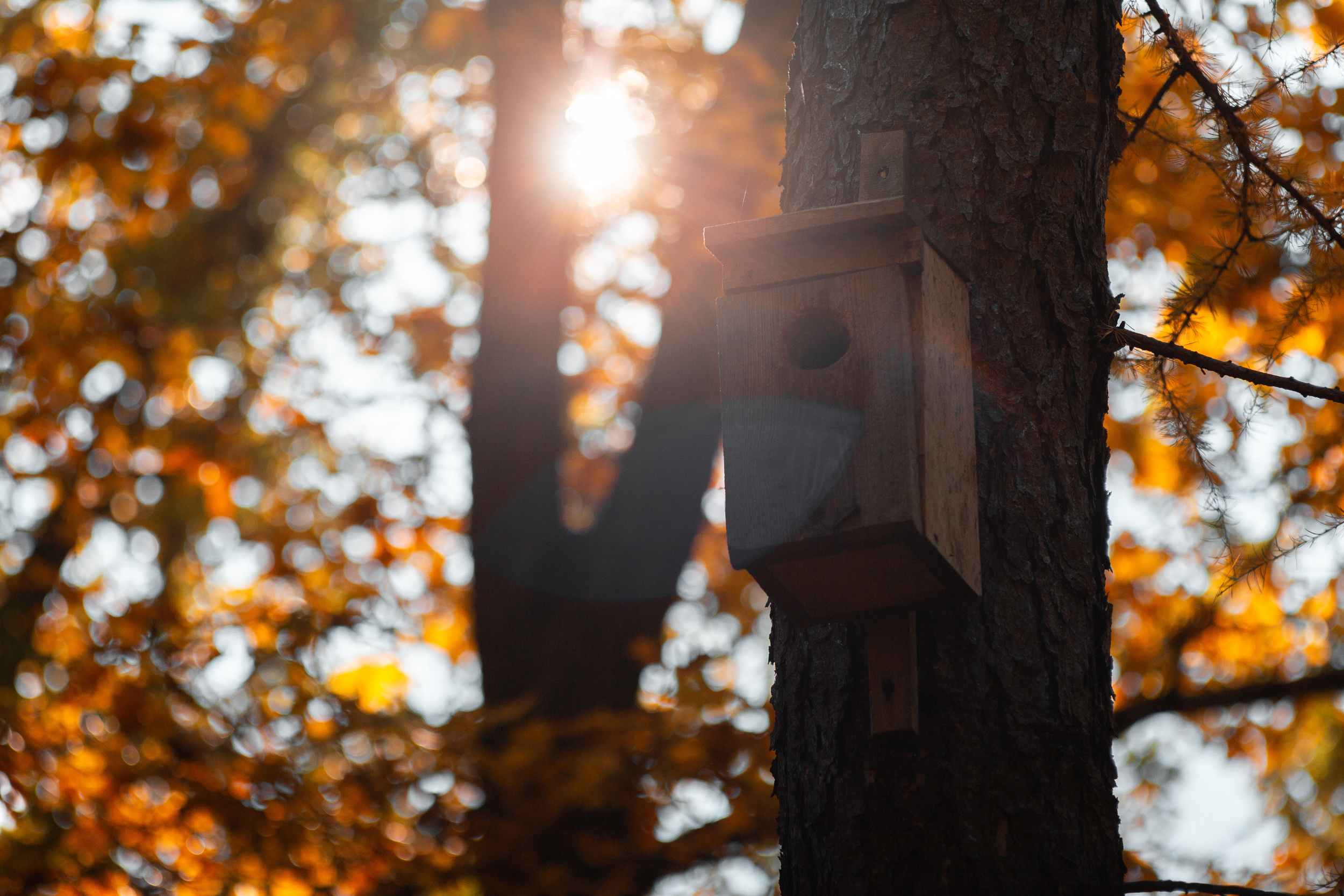 Walk with ols Soviet lenses. Dimitri Ilkov Photography — Capturing Life’s Moments in Edmonton, Cana