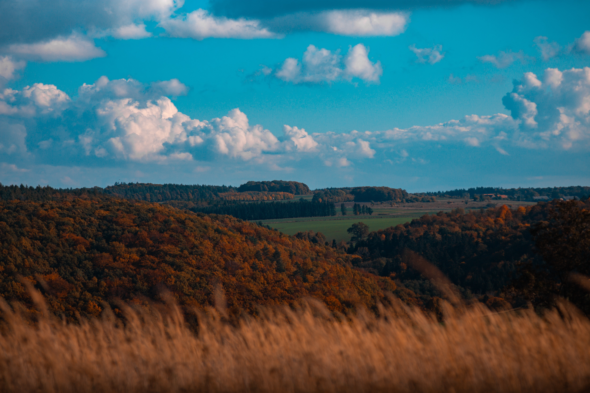 Walk with ols Soviet lenses. Dimitri Ilkov Photography — Capturing Life’s Moments in Edmonton, Cana