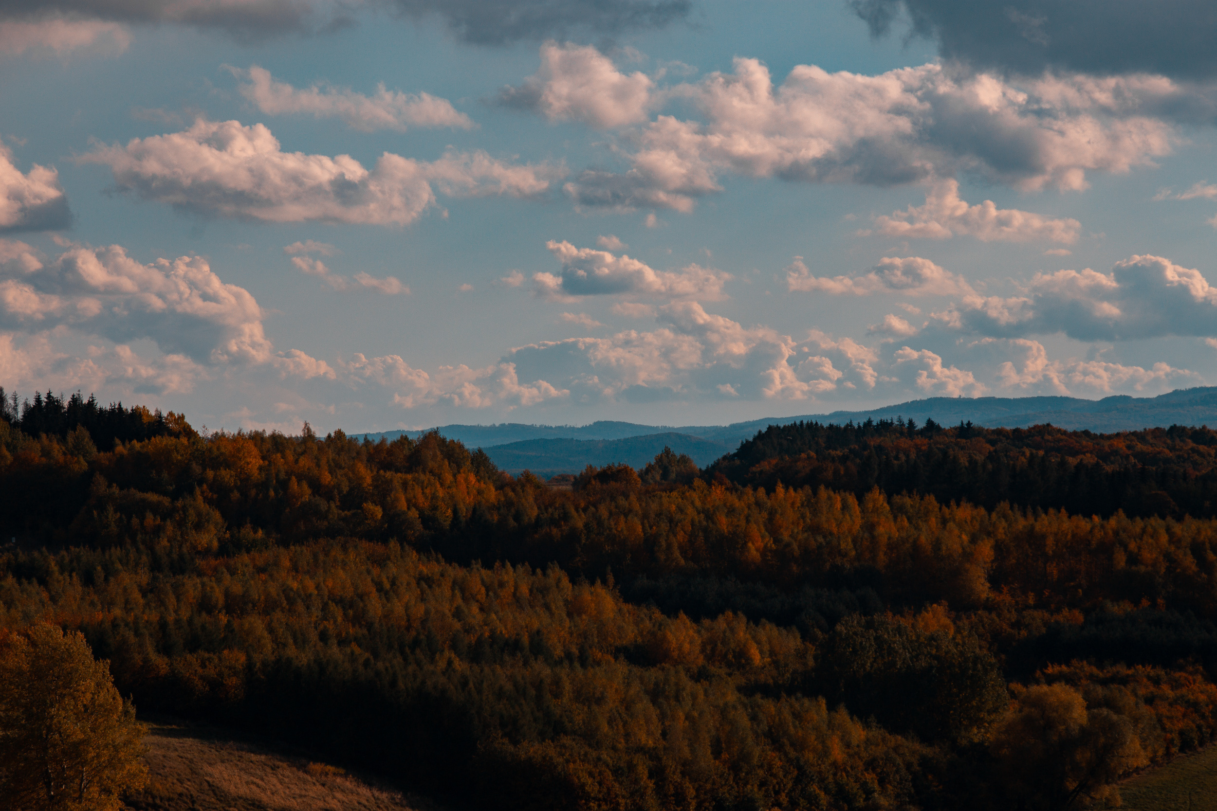 Walk with ols Soviet lenses. Dimitri Ilkov Photography — Capturing Life’s Moments in Edmonton, Cana