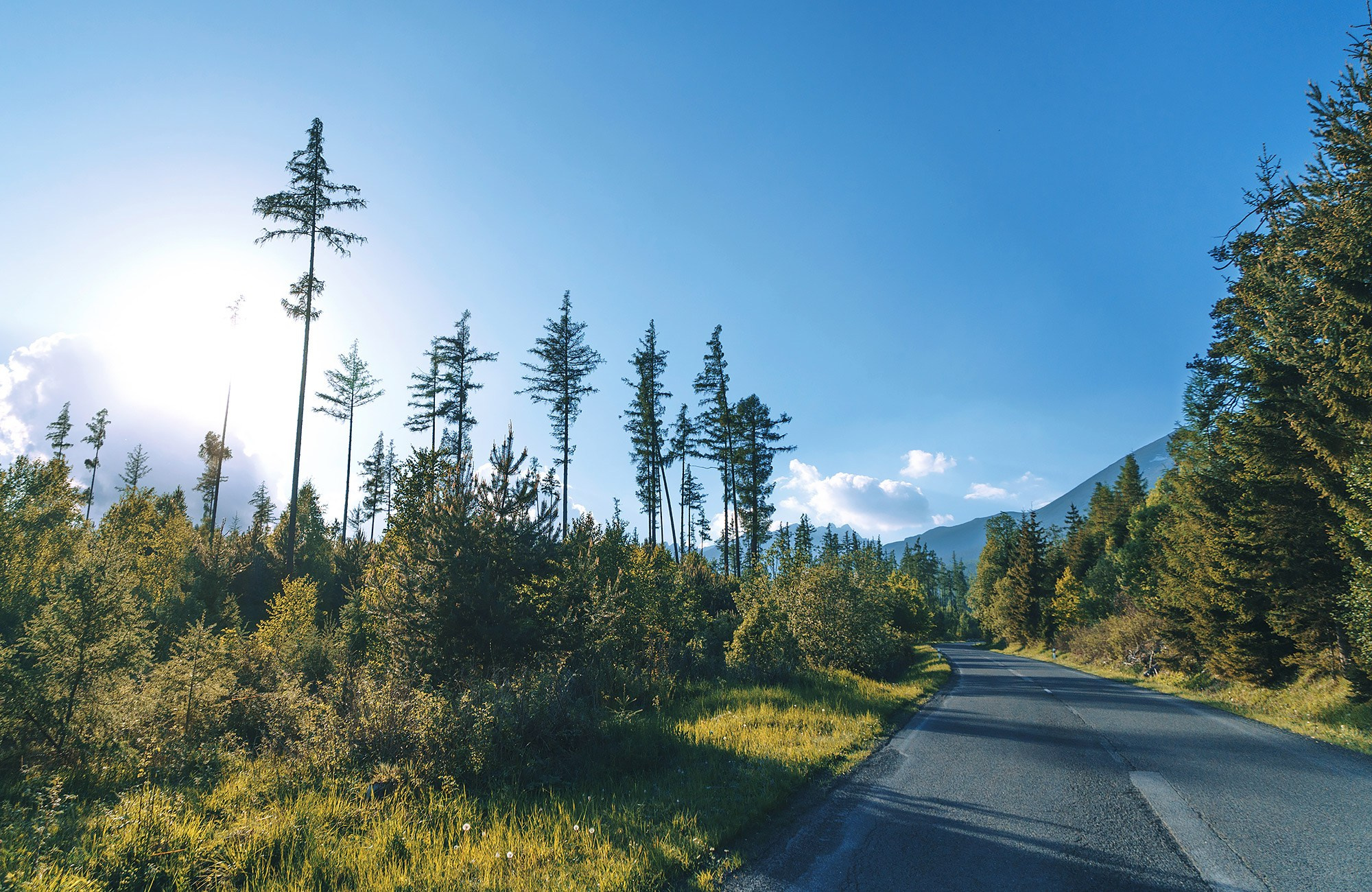 Poze frumoase din Slovacia - fotograf calatorii Andrei Zveaghintev. Fotograf nunta si familie in Moldova, Chisinau - Andrei Zveaghintev