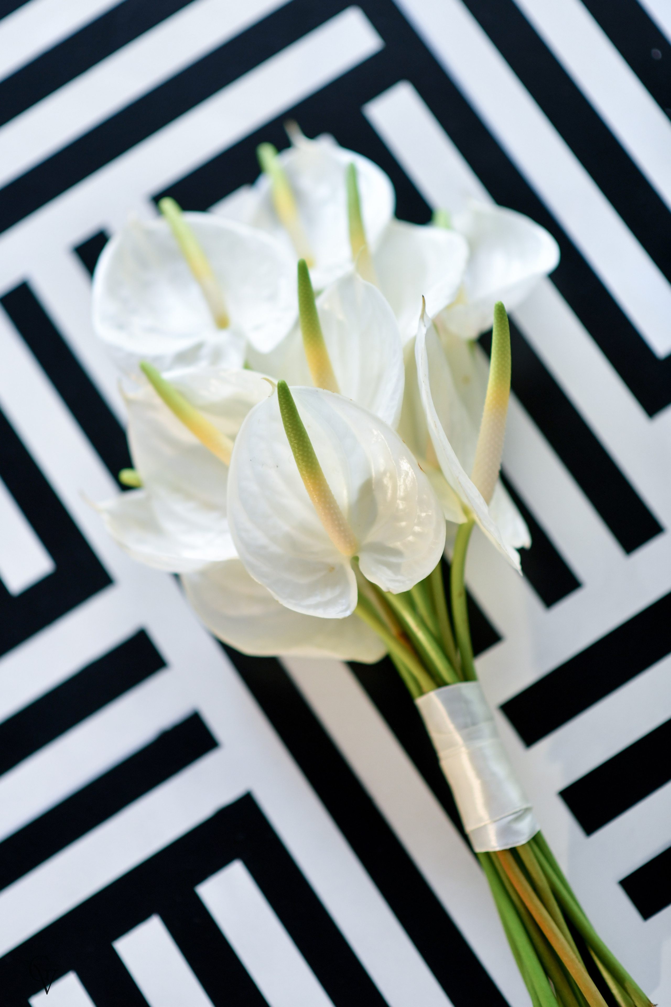 Narek Lusine Wedding. Wedding photos and video shooting in Armenia and all over the world!!! Photographer in Yerevan