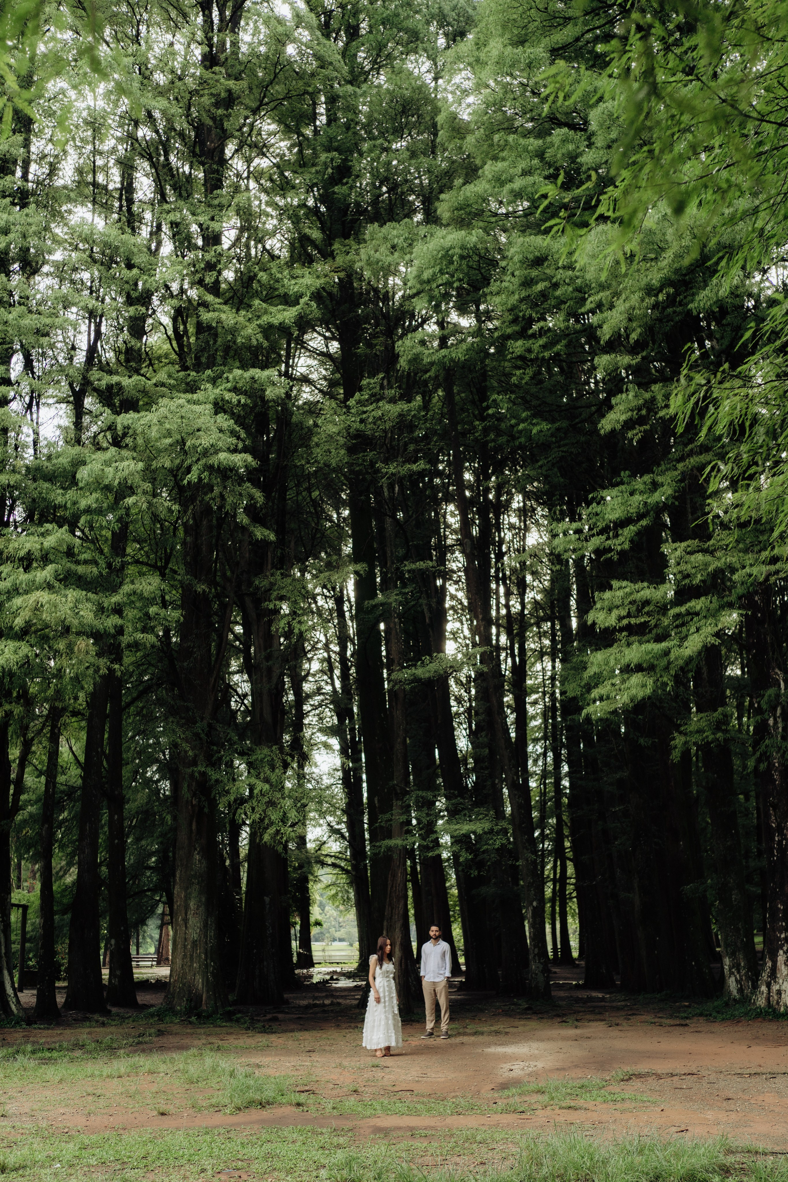 Sunamita & Felipe // Pre Wedding. A Um Passo Fotografia
