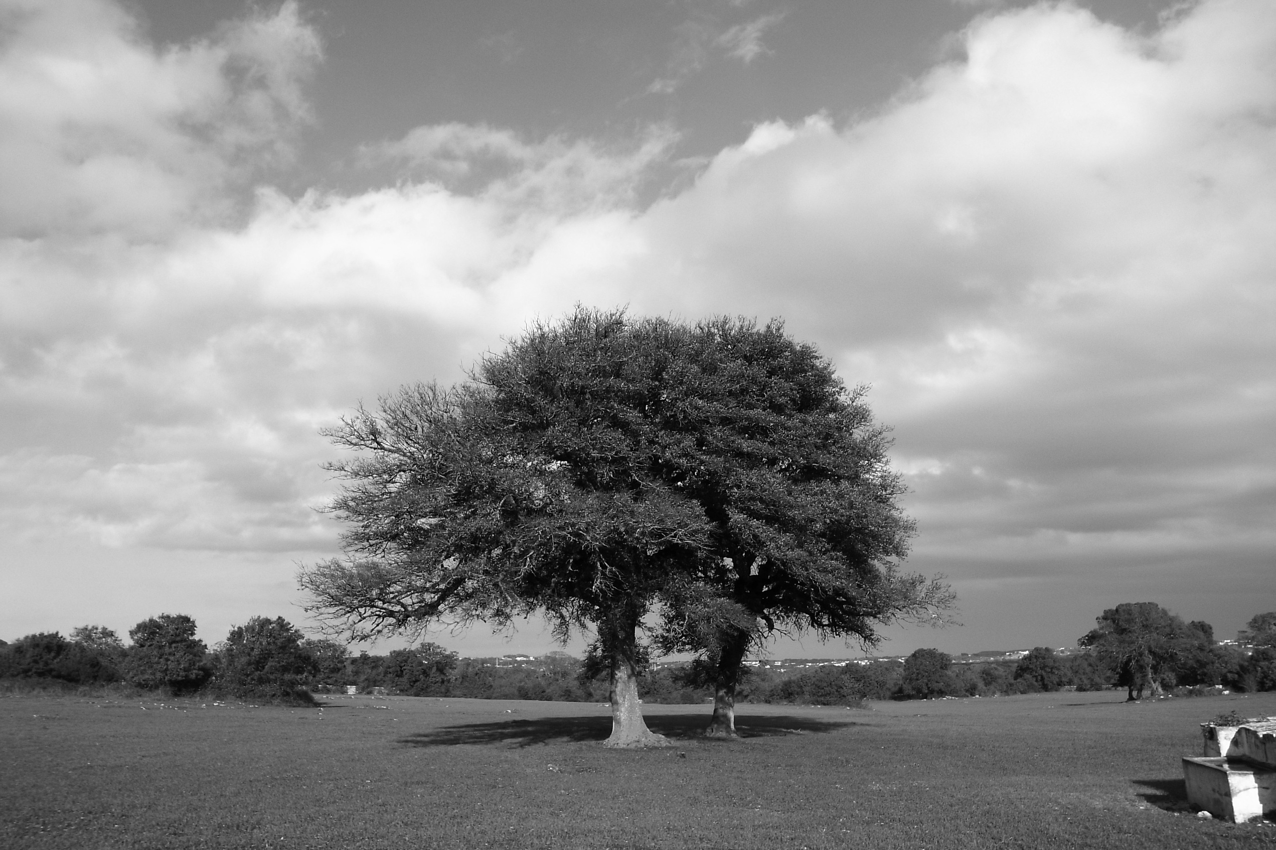 Marco Greco Architectural and interiors photographer based in Apulia Italy Fotografo di architettura interni Puglia B&B Case vacanze Hotel