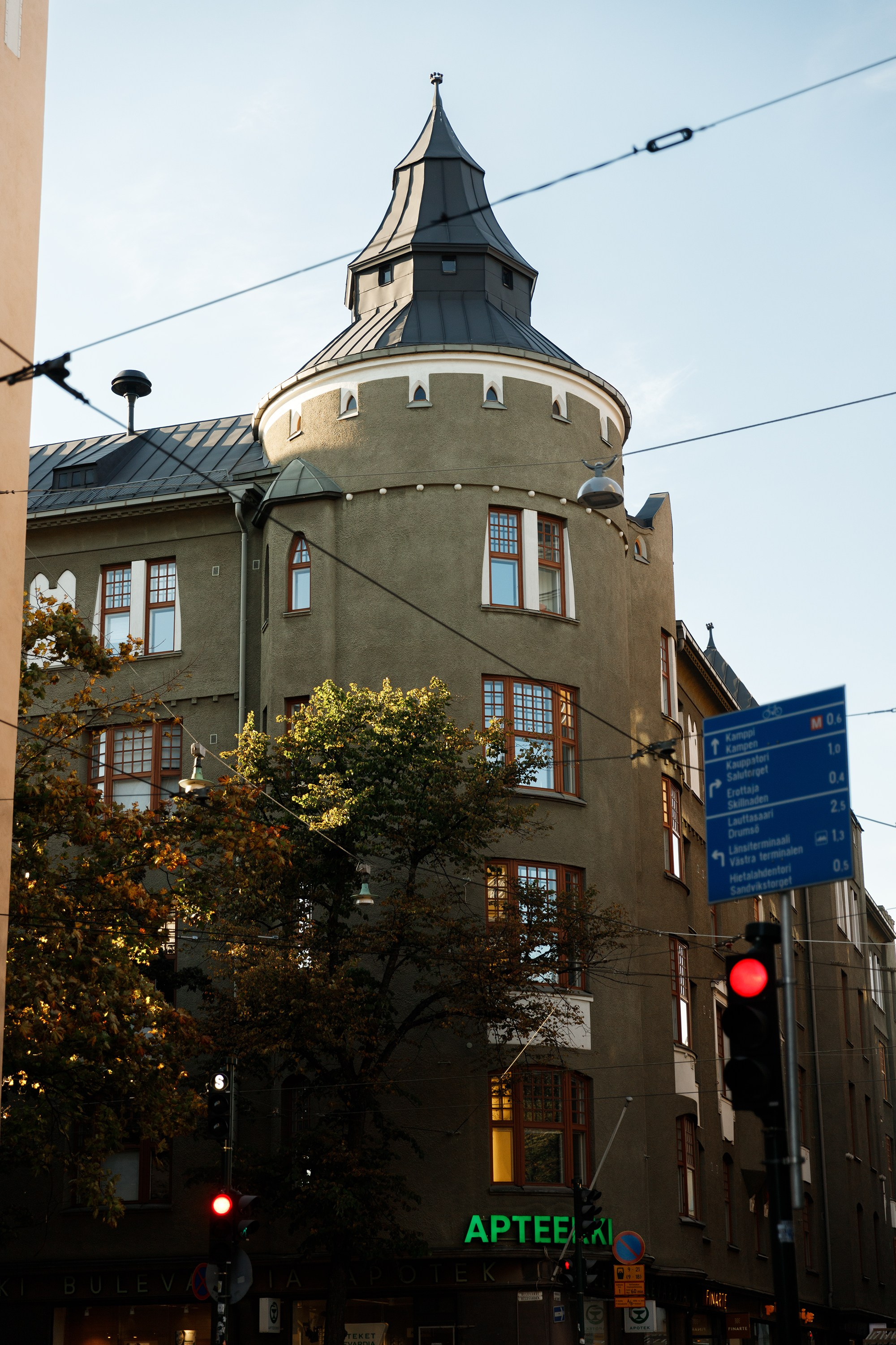 Helsinki. Kaja | fotograf psów we Wrocławiu