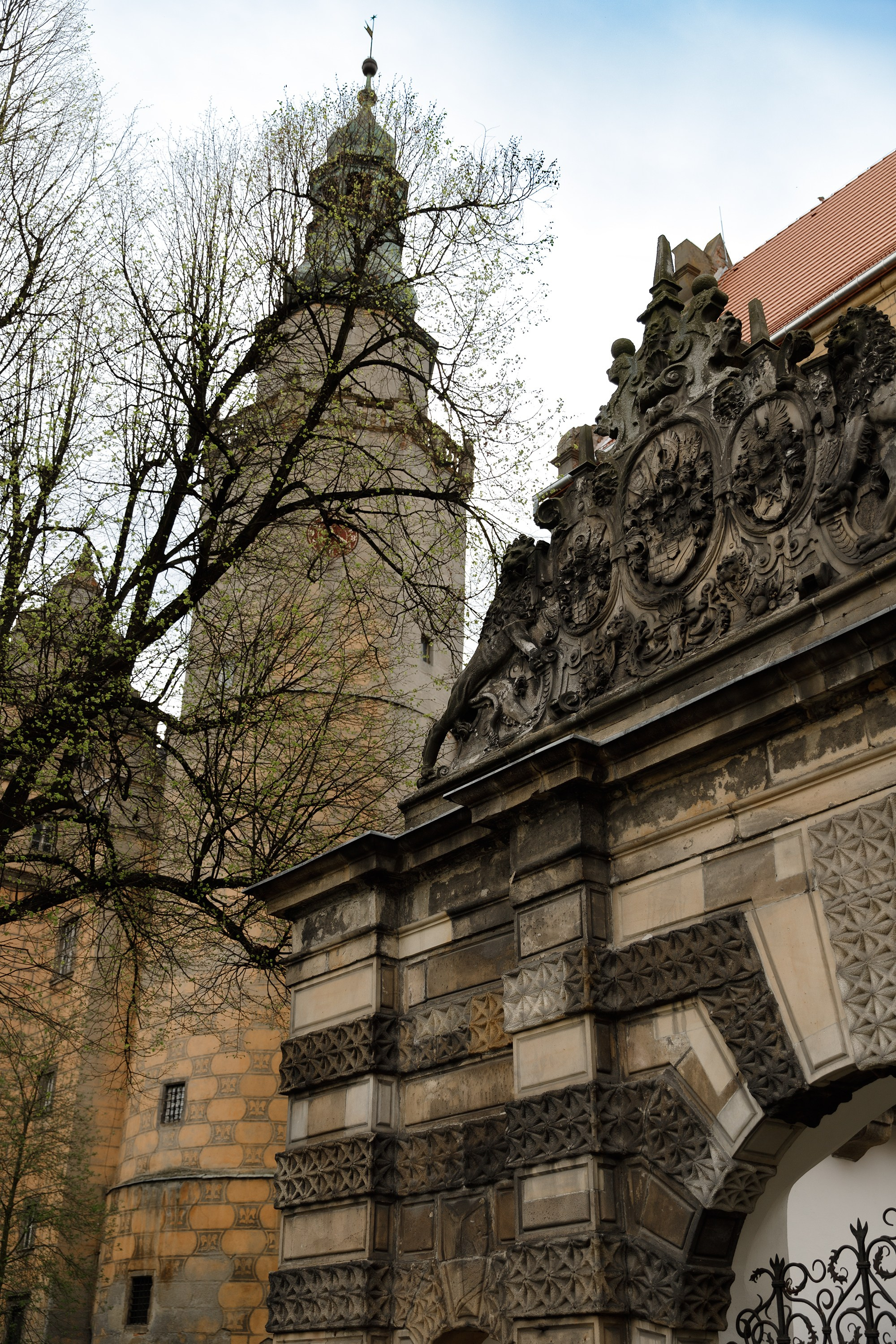 Oleśnica castle. Kaja | fotograf psów we Wrocławiu