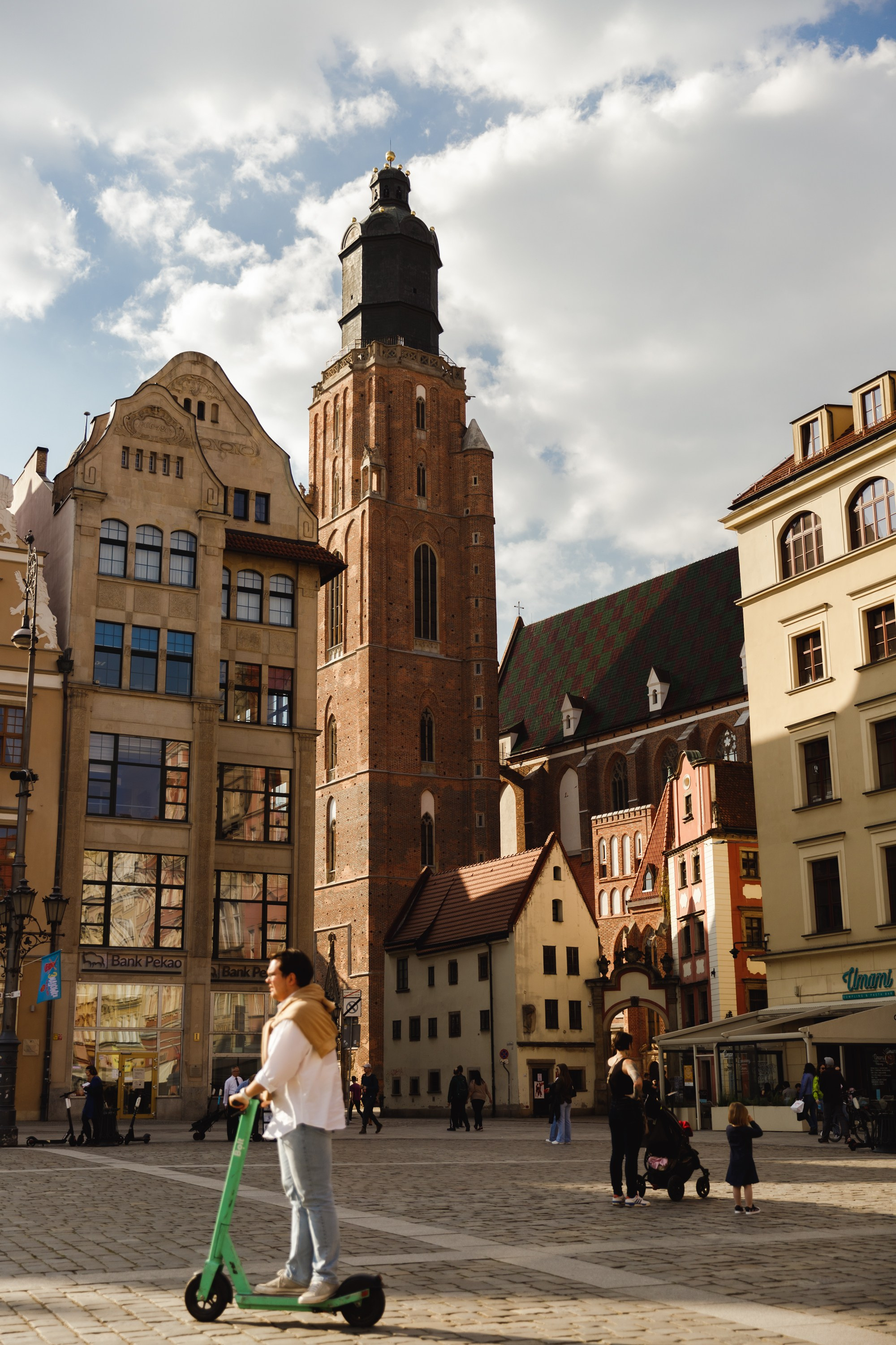 Wroclaw | the best ones. Kaja | fotograf psów we Wrocławiu