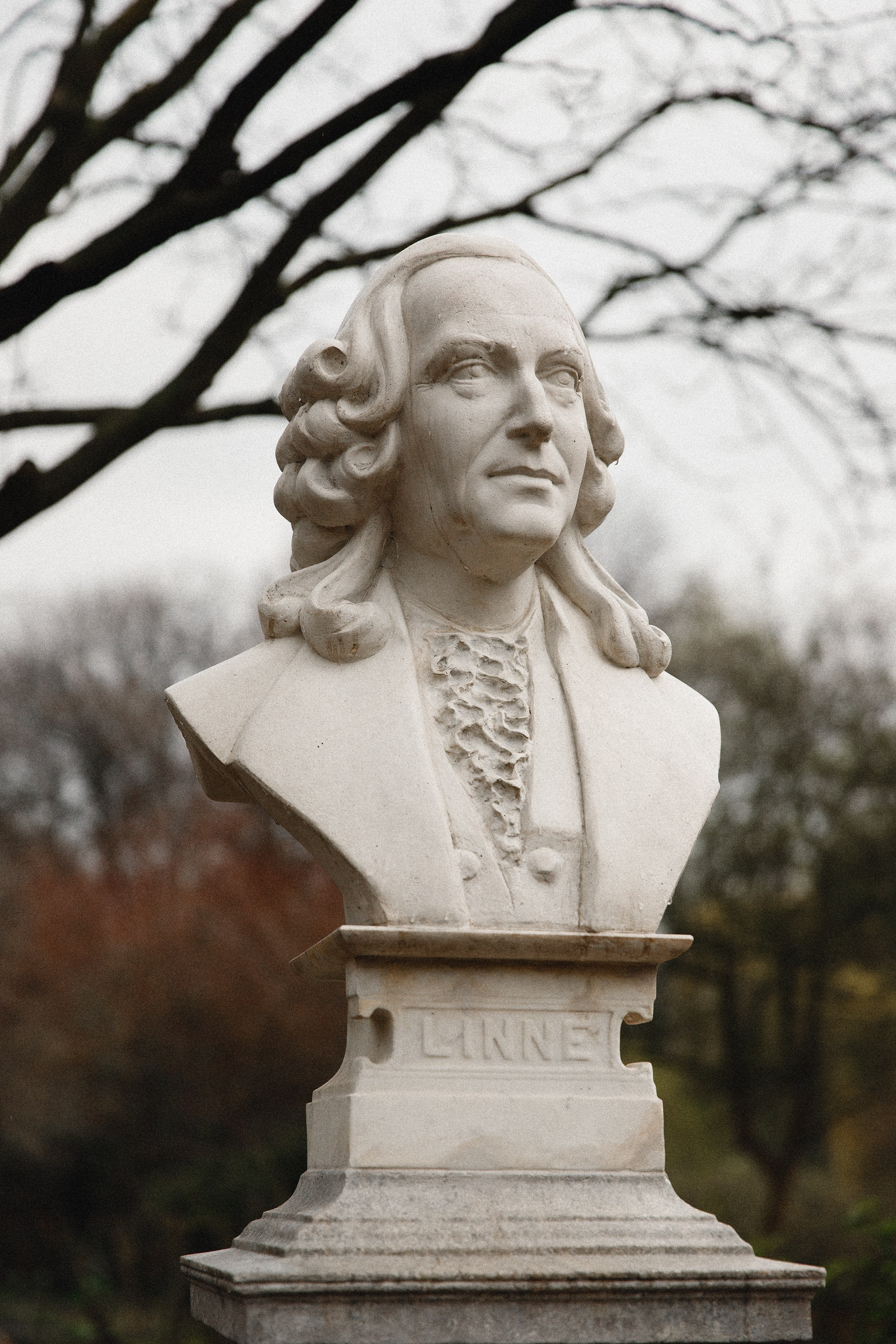 Botanical garden in Wroclaw. Kaja | fotograf we Wrocławiu | ludzie i psy