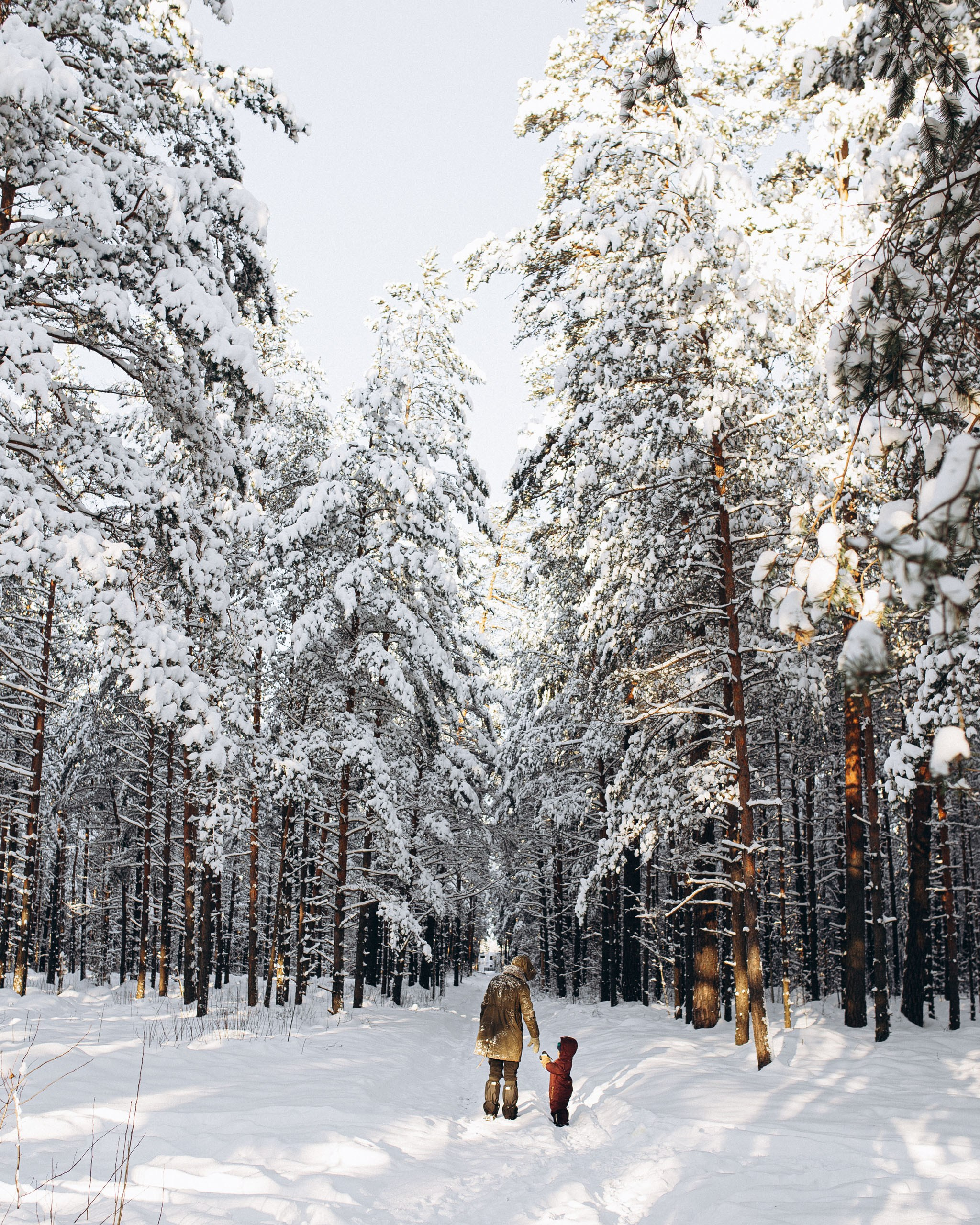 ĢIMENES FOTOSESIJA ZIEMĀ