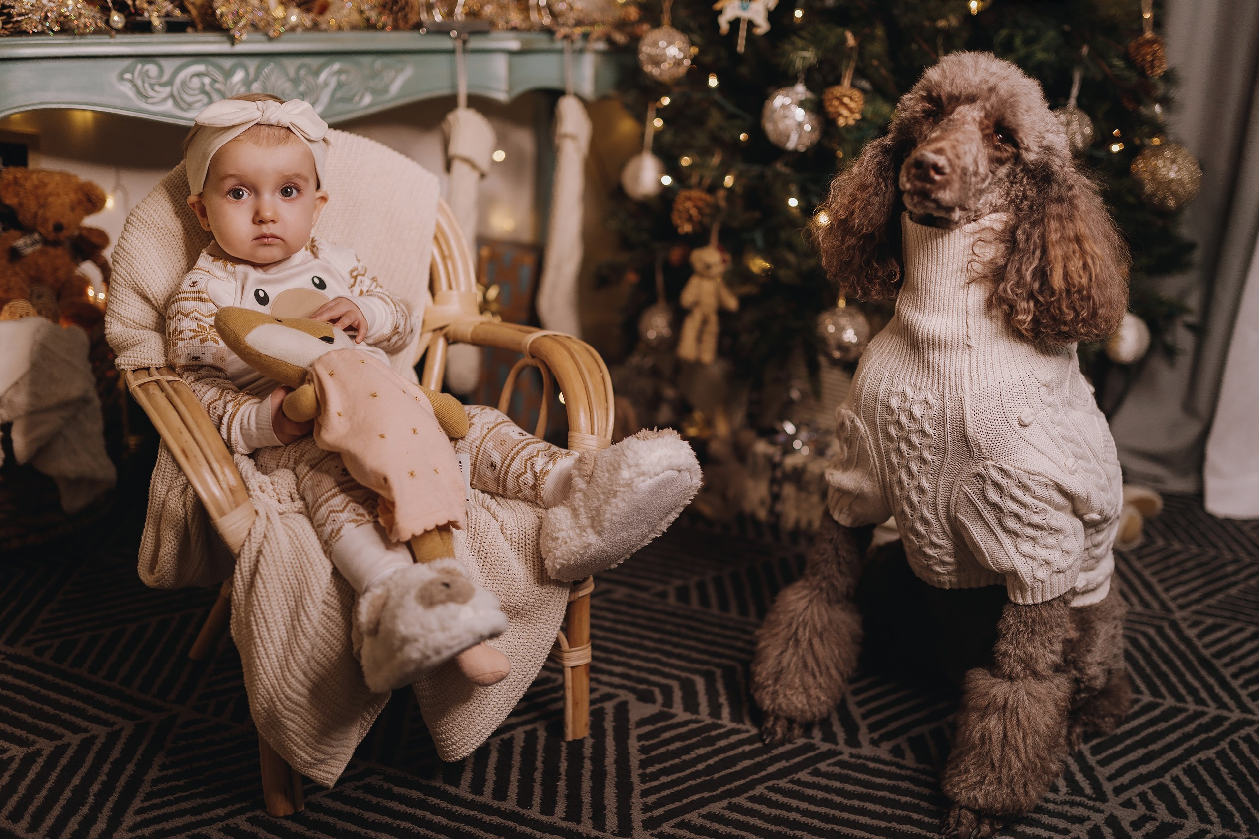 09.12.2023 Christmas Photoshoot. Wedding family event photographer in Chicago Nick Yushevich