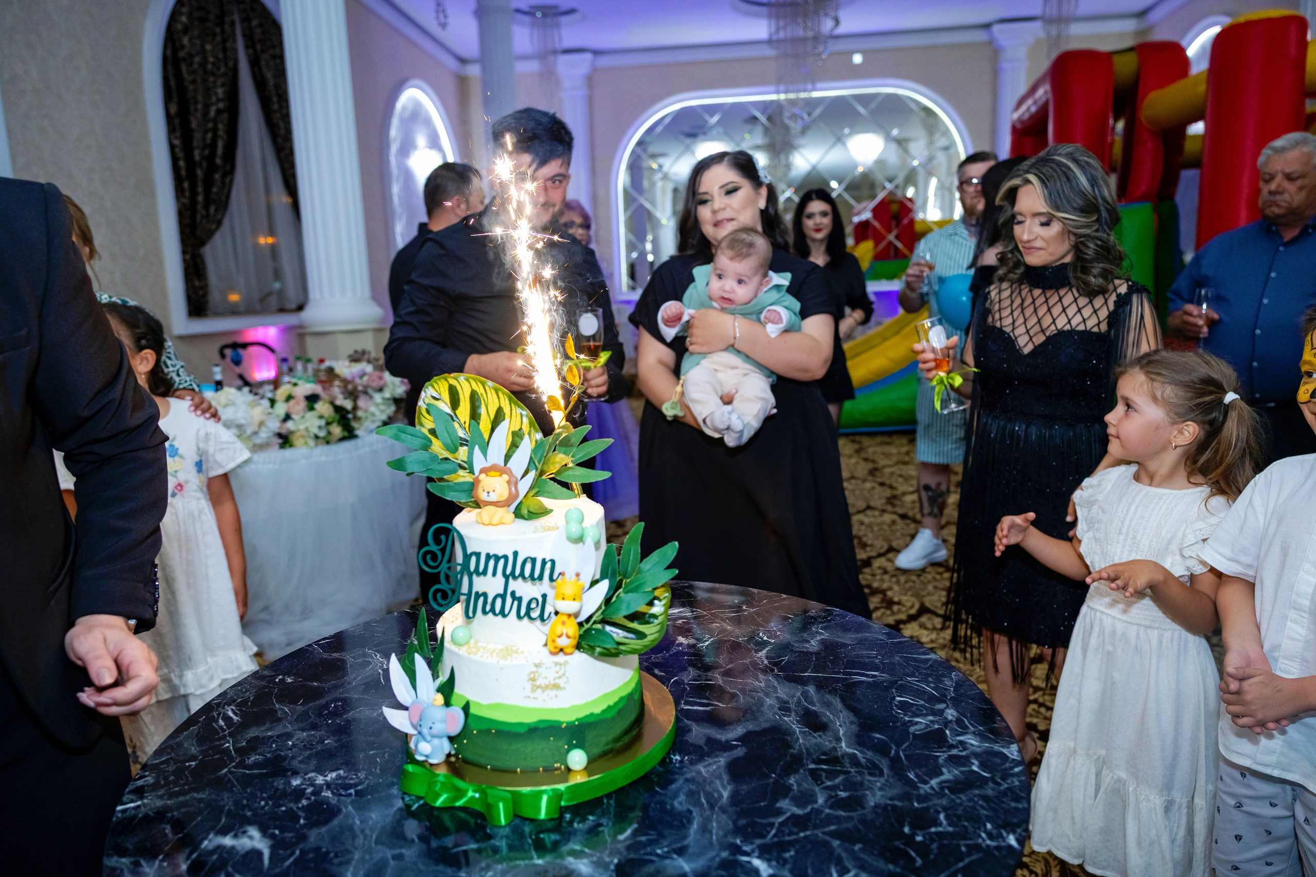 Andrei Damian. Moments By Gub