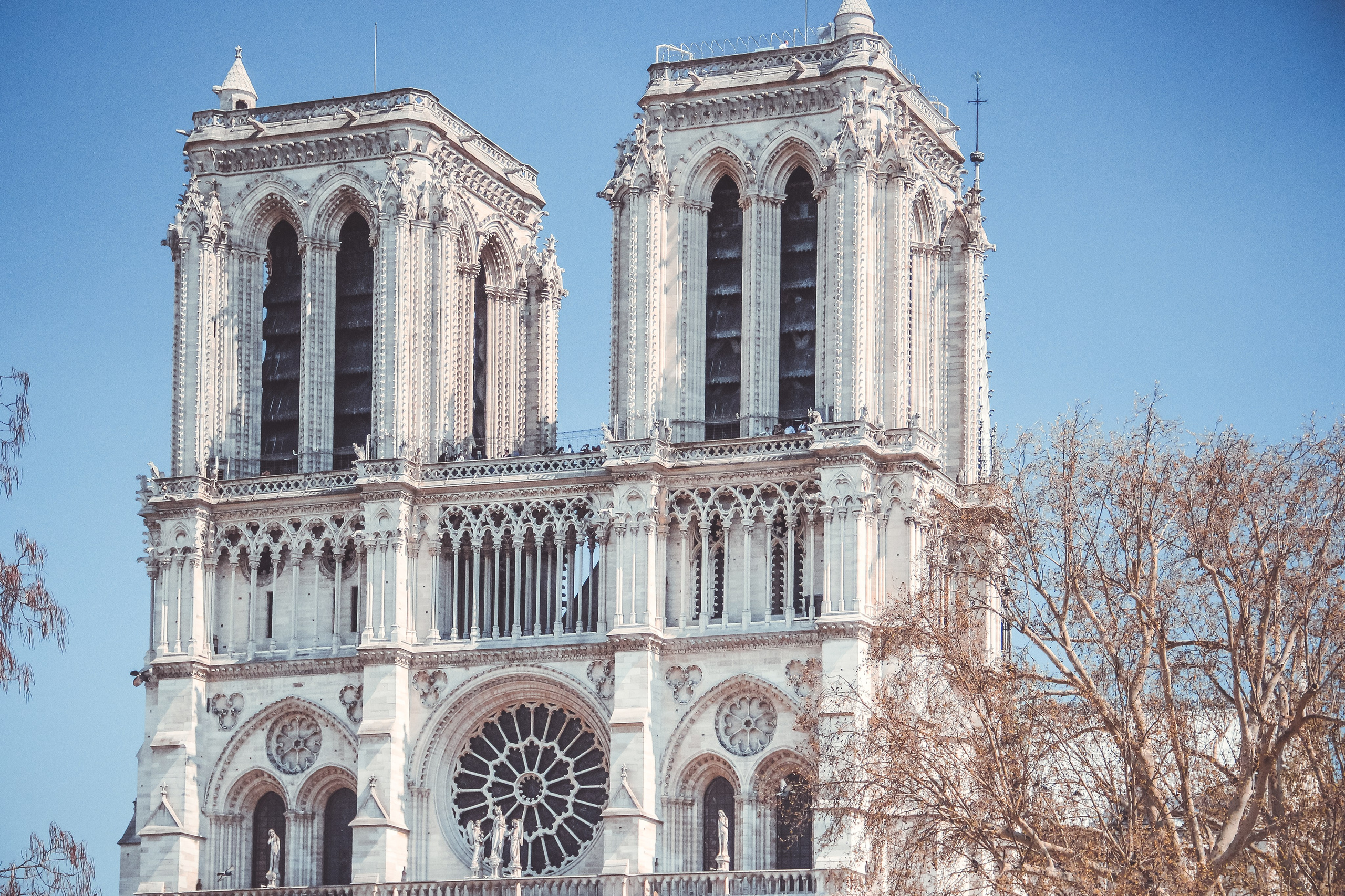 Увидеть Париж десять лет спустя. Фотограф в Германии — Мария Чистякова