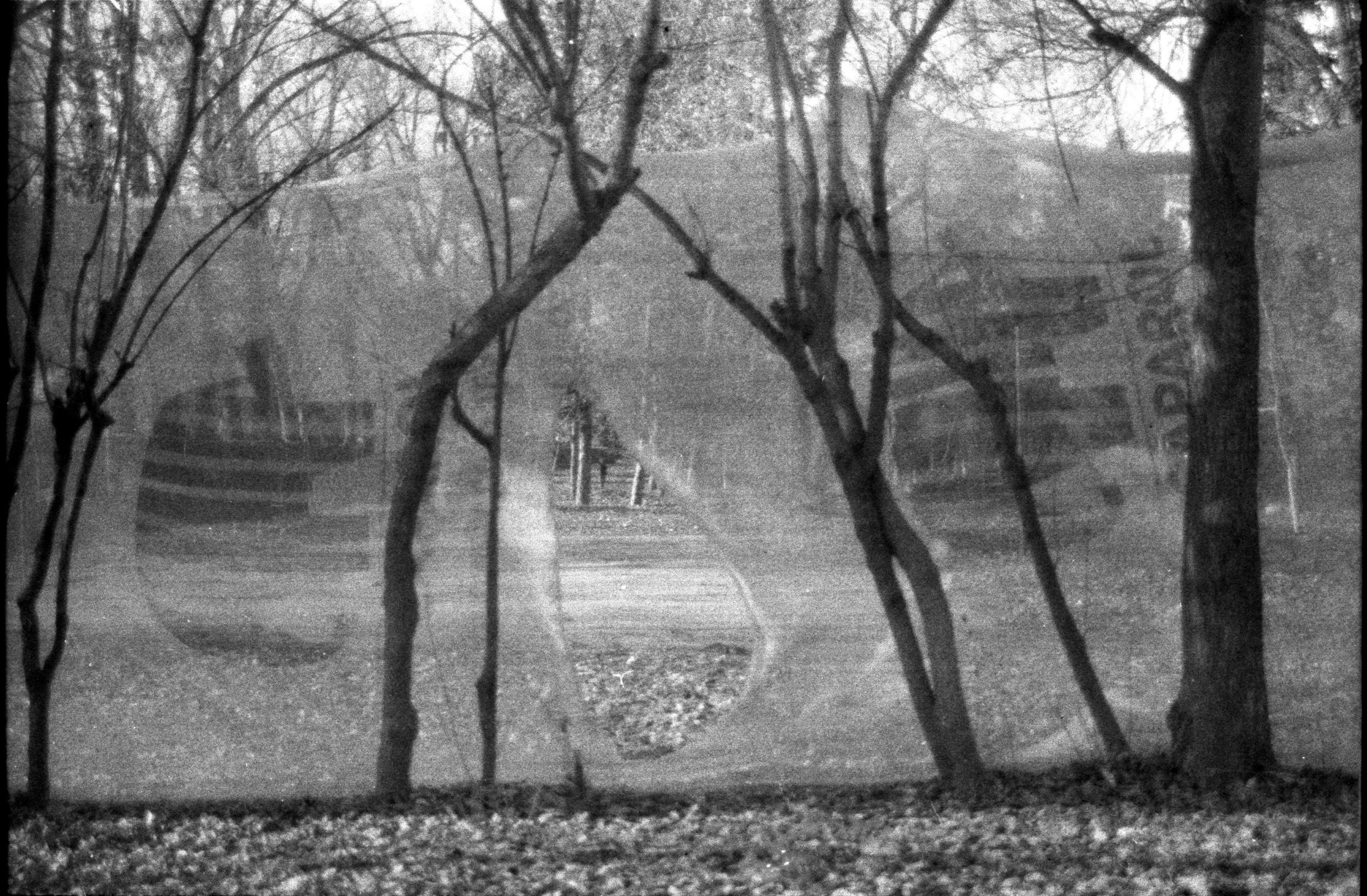 Silent light. Natalia Parfenova visual artist film photographer