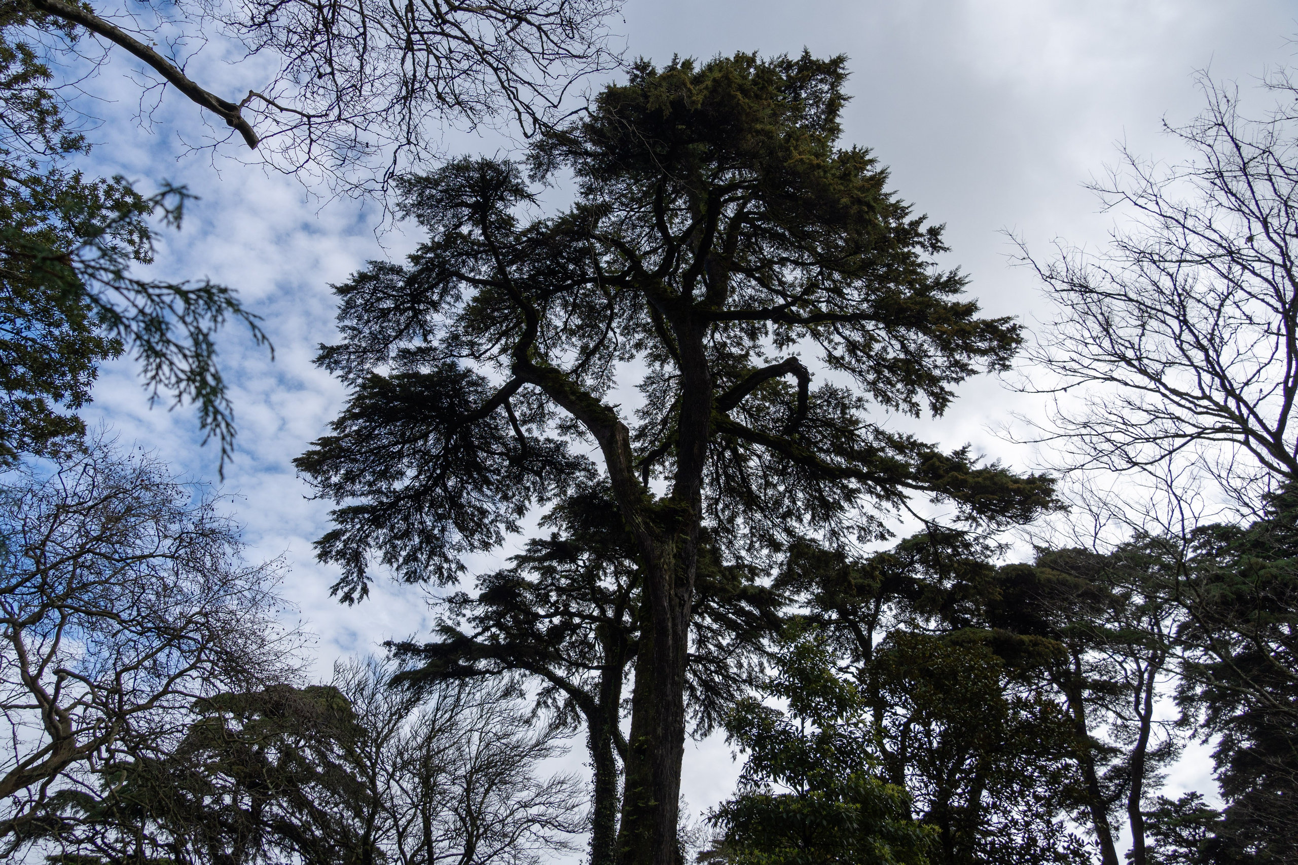 Lisabona 2025. Fotografiideplacere.net