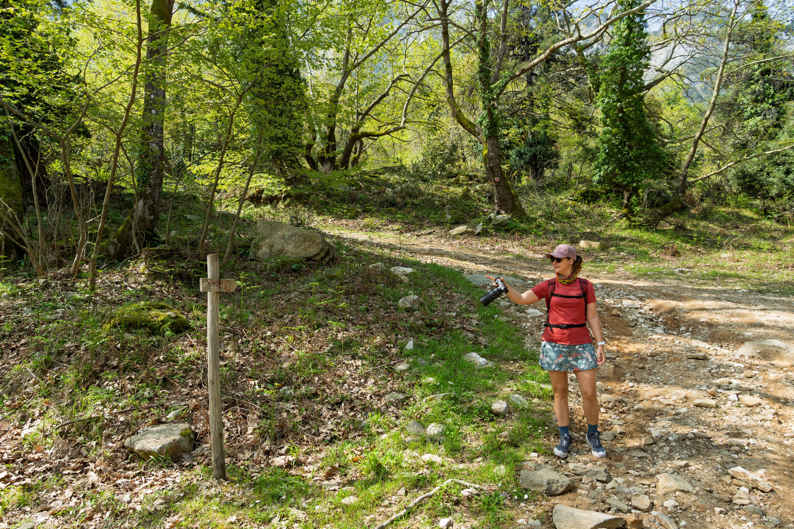 Thasos 2025. Fotografiideplacere.net