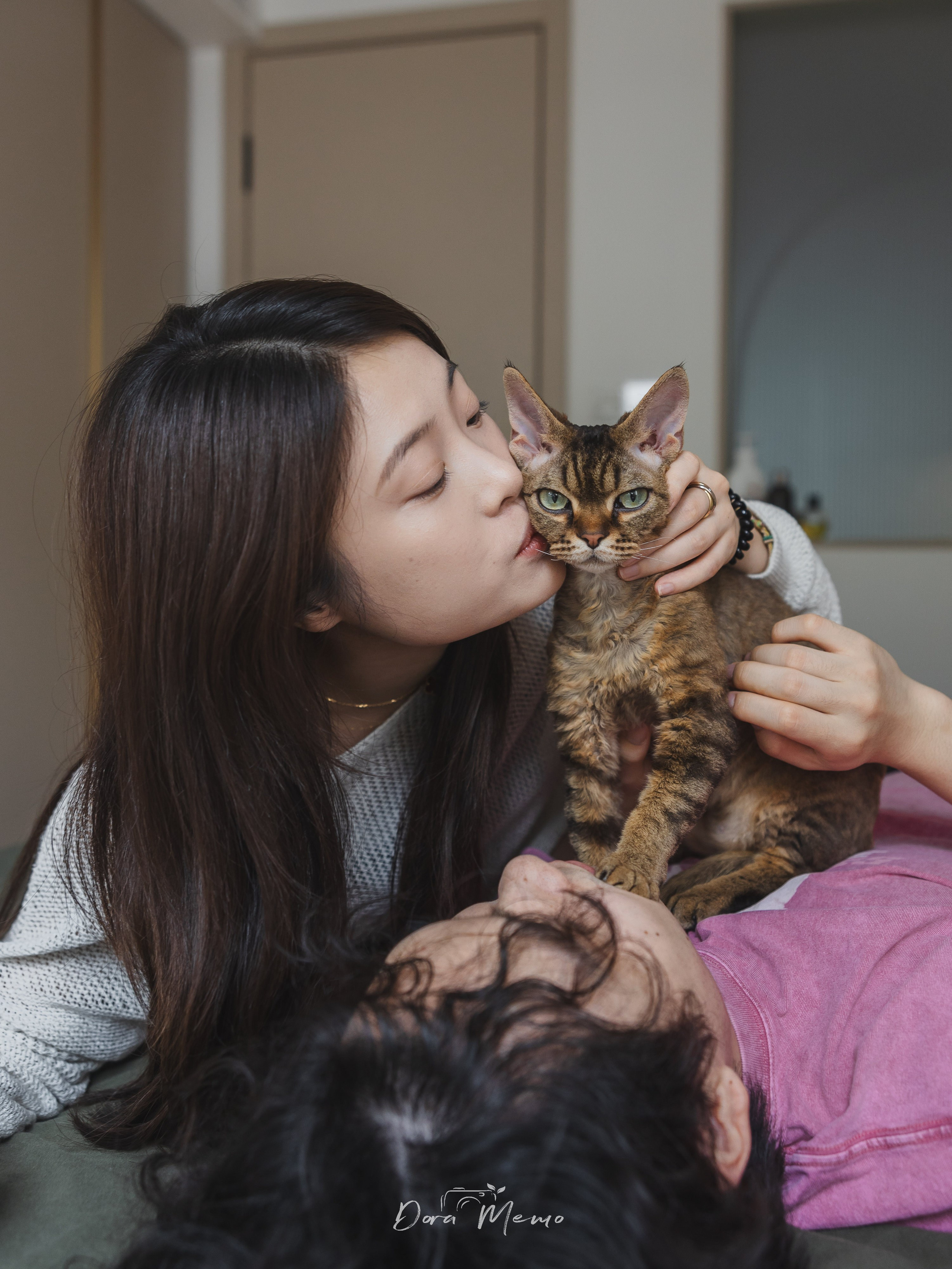 Shanghai Pet Family Photography | A Warm At-Home Session with Two Cats