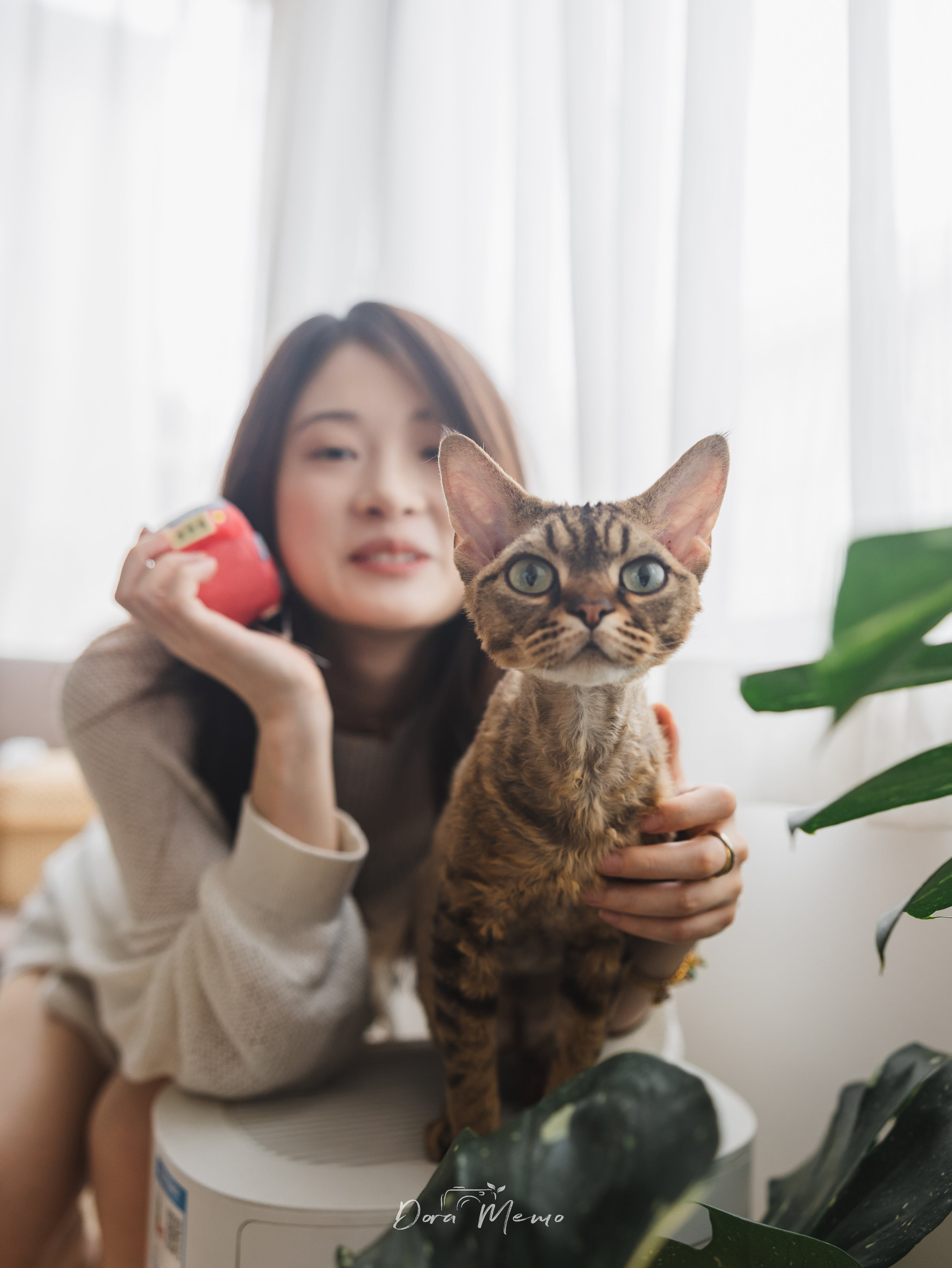 Shanghai Pet Family Photography | A Warm At-Home Session with Two Cats