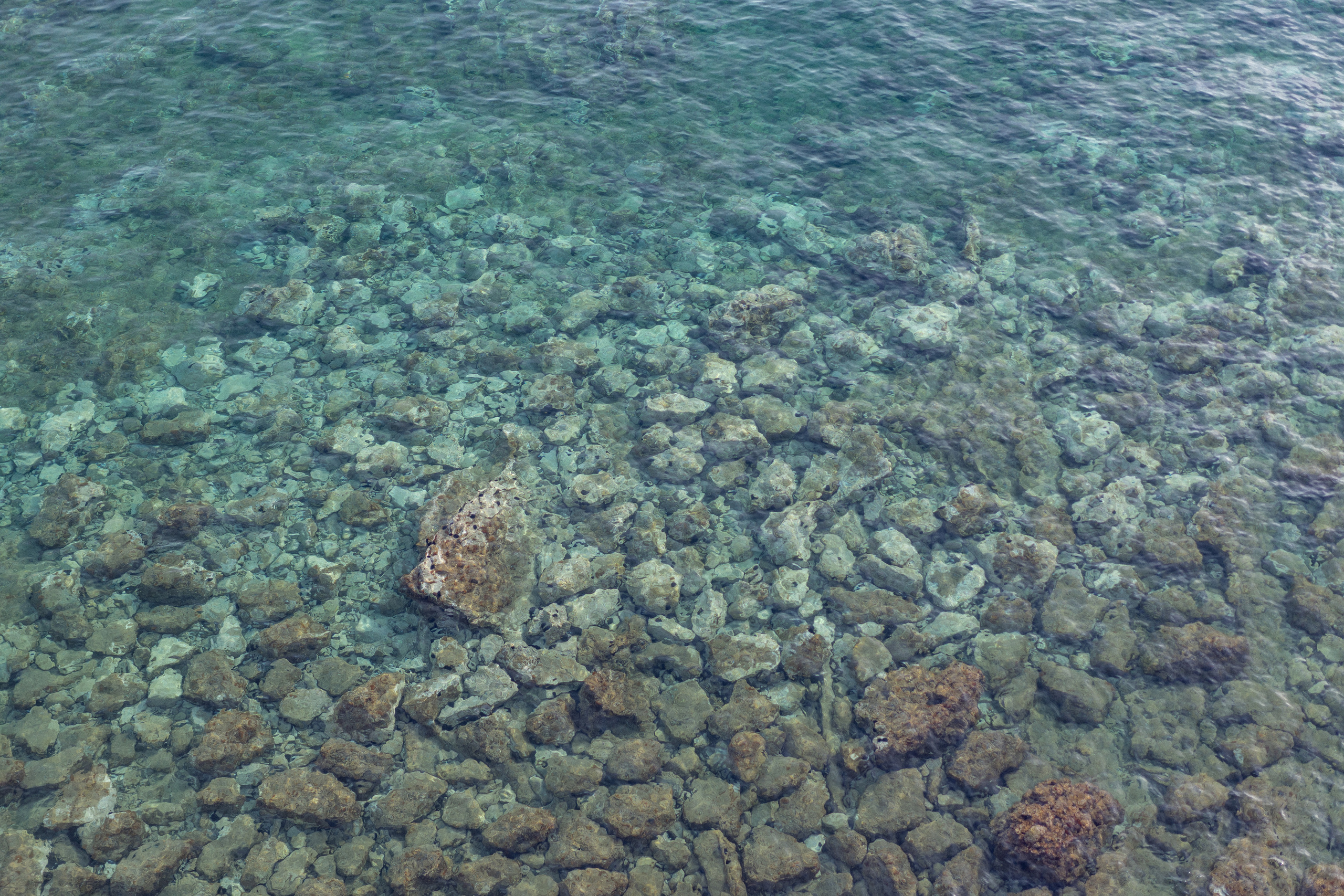 Ljubavna priča u Starom gradu Budva