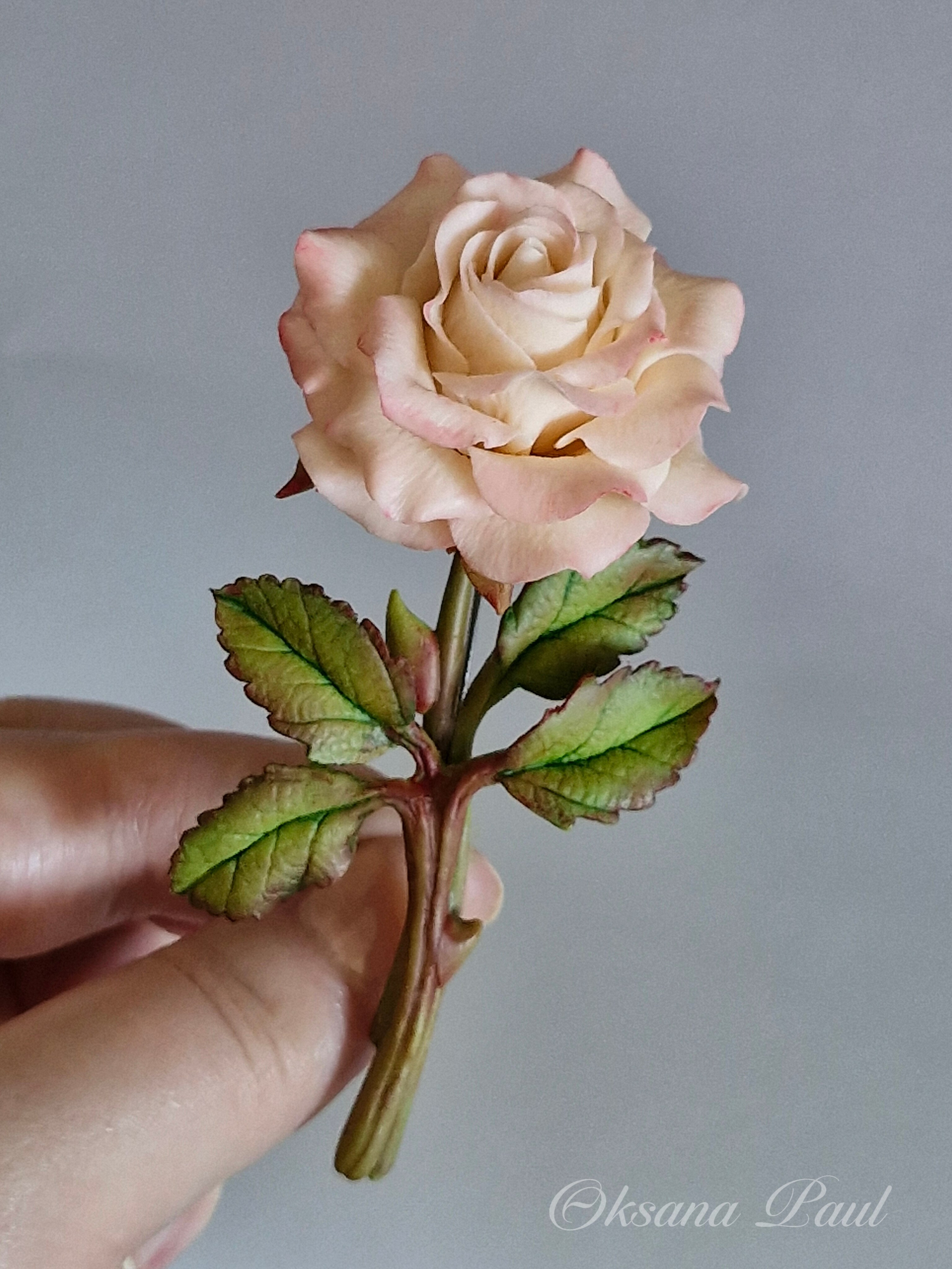 Броши с цветами / Blumen-Broschen ➜. Oksana Paul-Gardinen-Design Oksana Paul ✧ Art of Gardinen & Textile Design ✧ Polymer Clay Art & Handmade Creatures