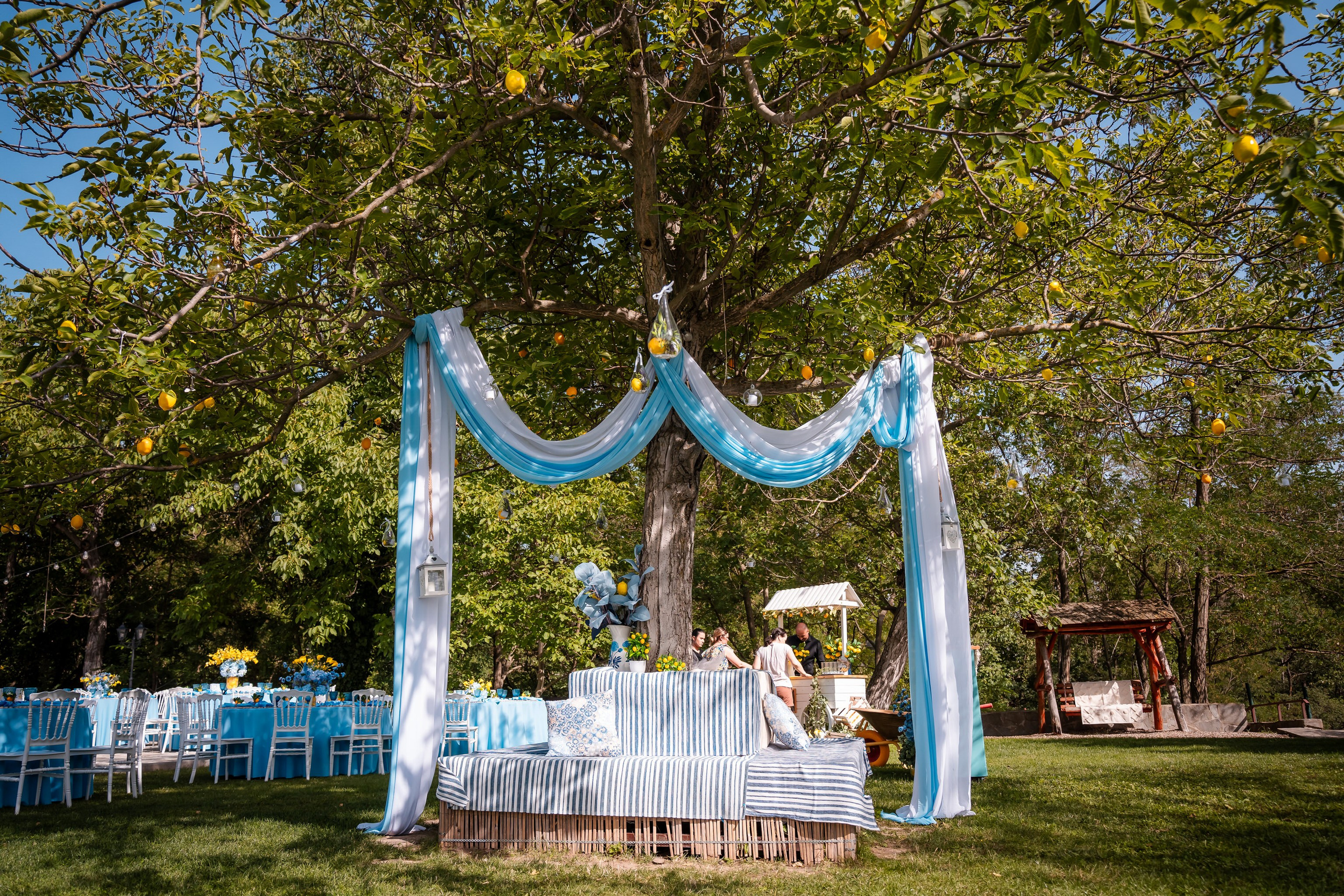 Cununie Sasha & Antonia