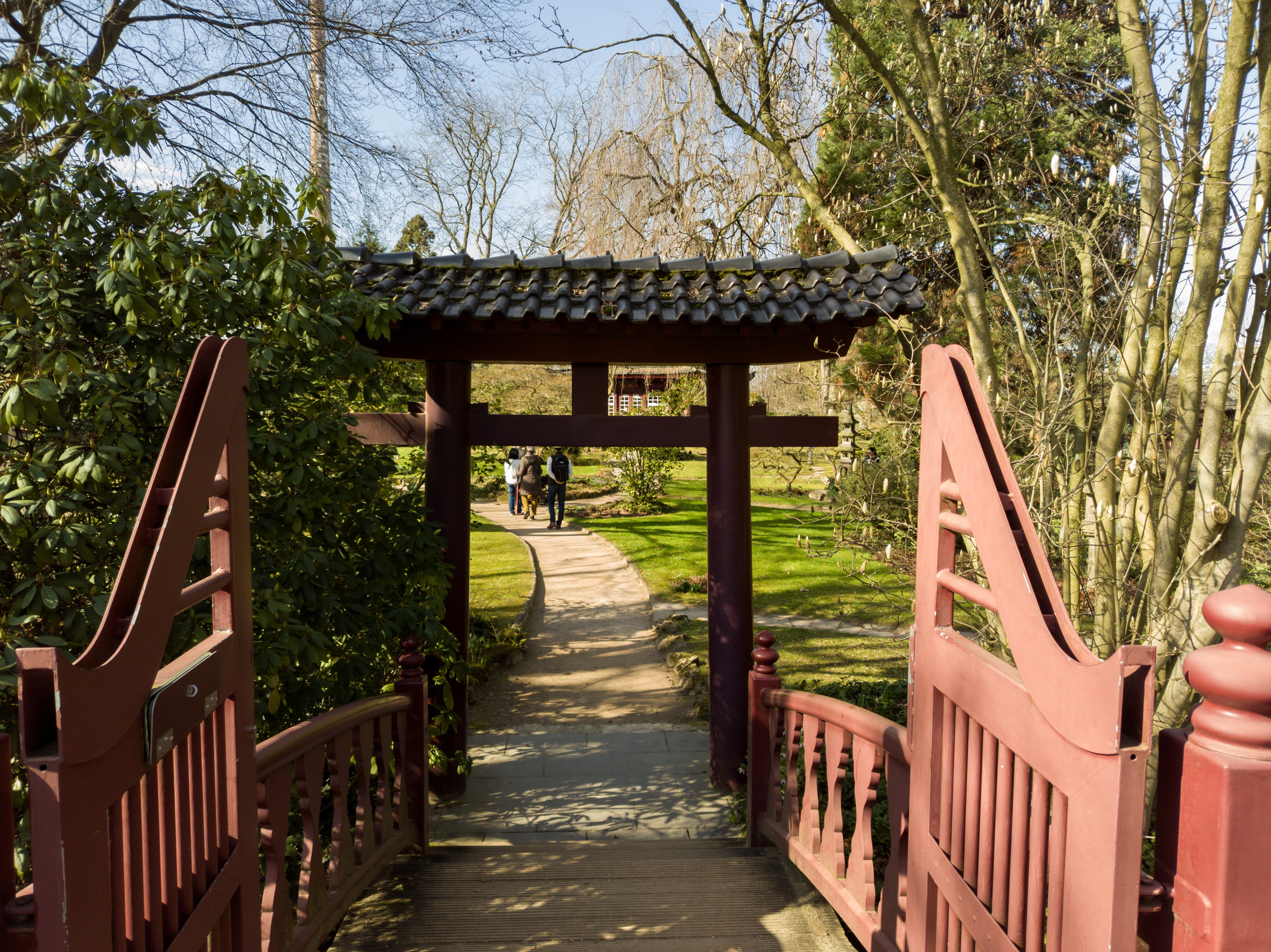 Cologne (Germany) Leverkusen. Fotograf in Köln, Bonn, Düsseldorf, Krefeld