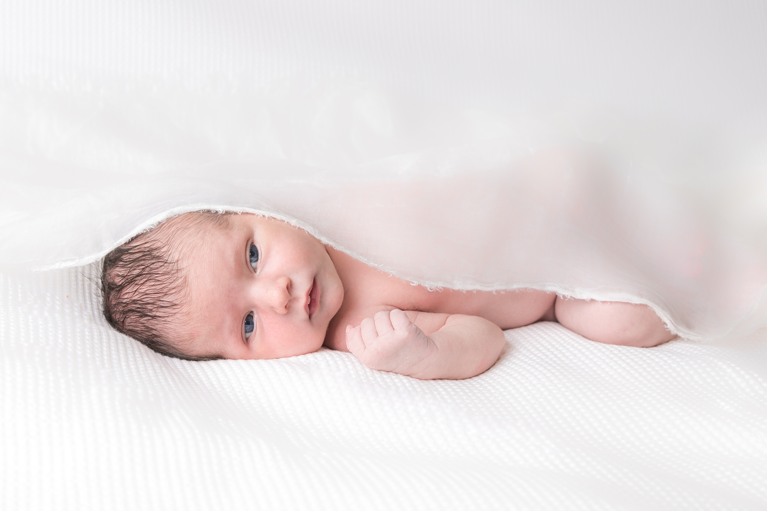 Newborn | Family | Maternity. Wedding and Event photography, Kisses + Veil