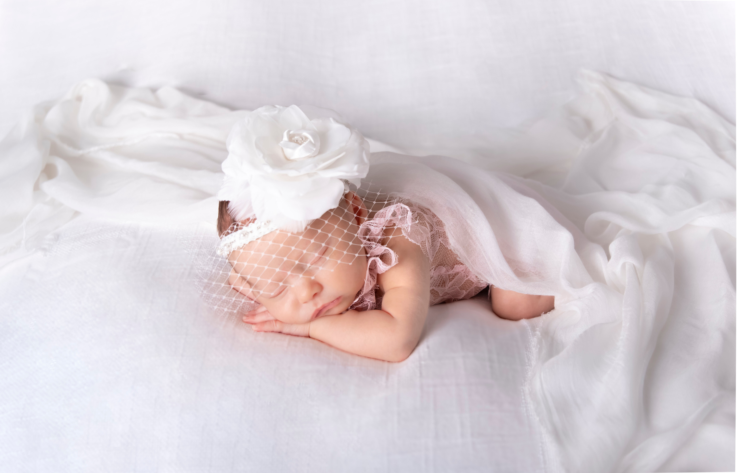 Newborn | Family | Maternity. Wedding and Event photography, Kisses + Veil