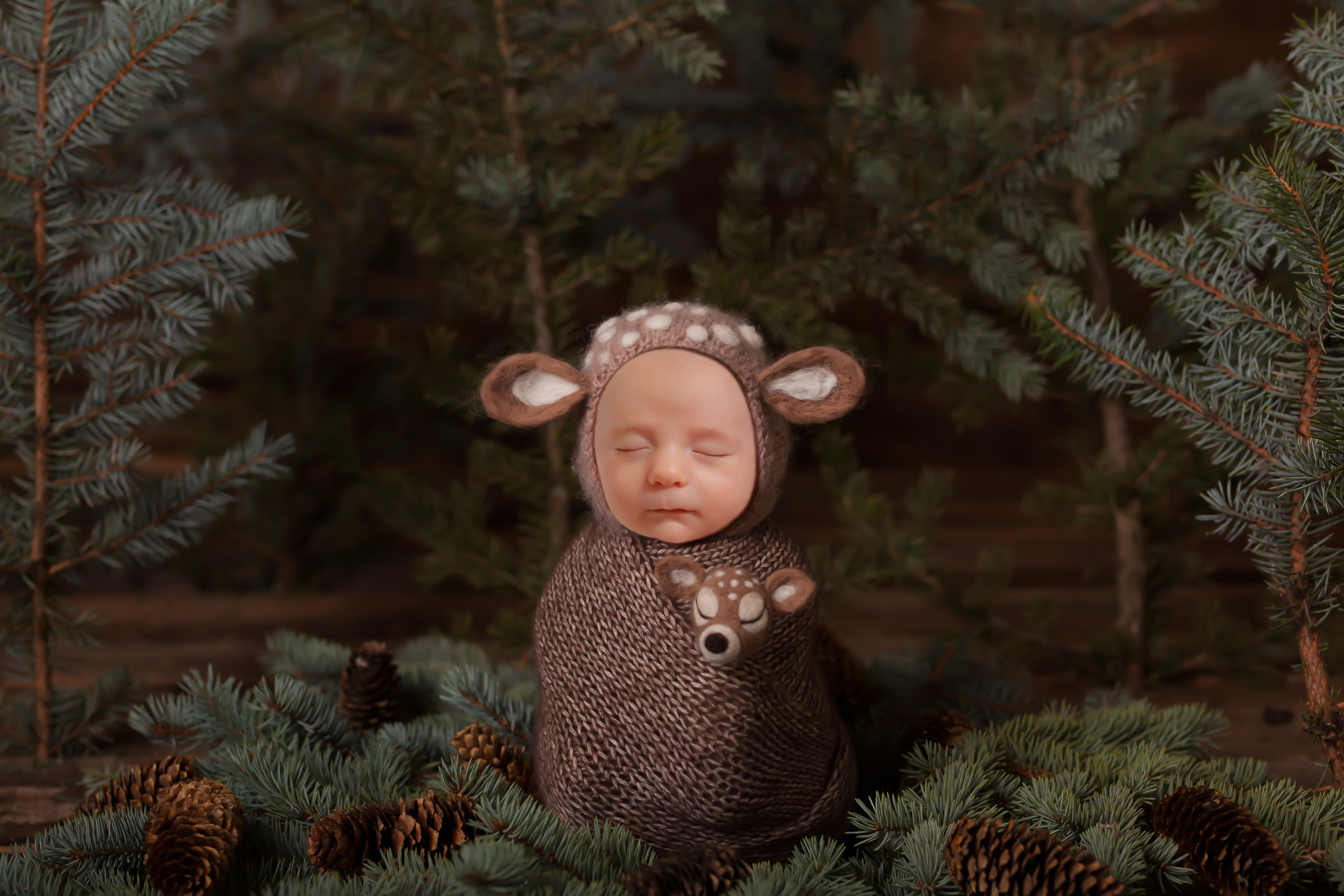 Newborn | Family | Maternity. Wedding and Event photography, Kisses + Veil