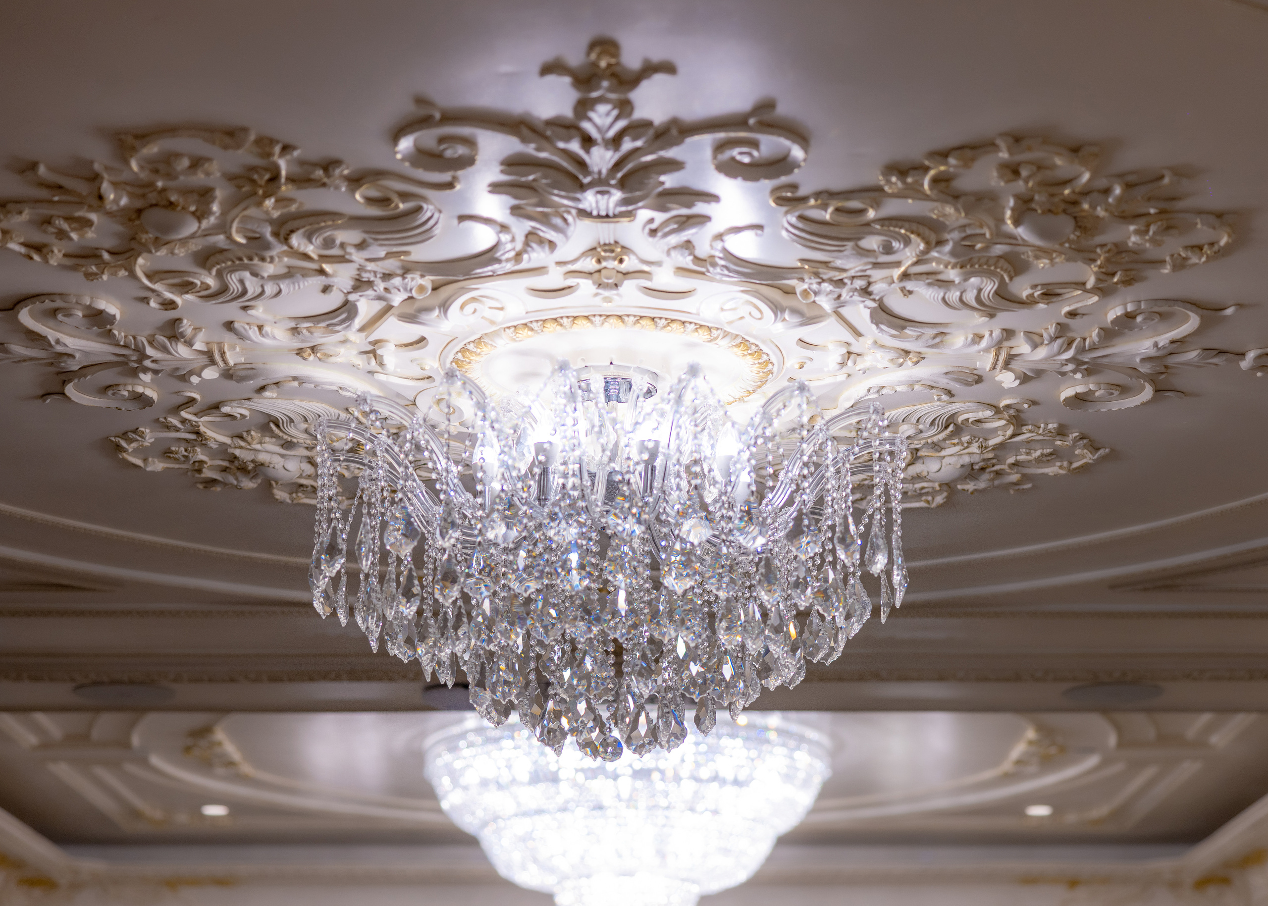 Ester & Conner. Wedding and Event photography, Kisses + Veil