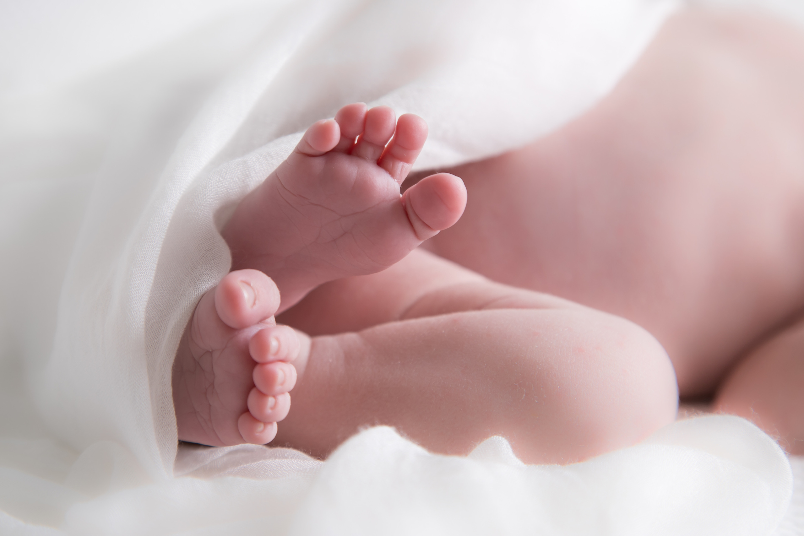 Newborn | Family | Maternity. Wedding and Event photography, Kisses + Veil