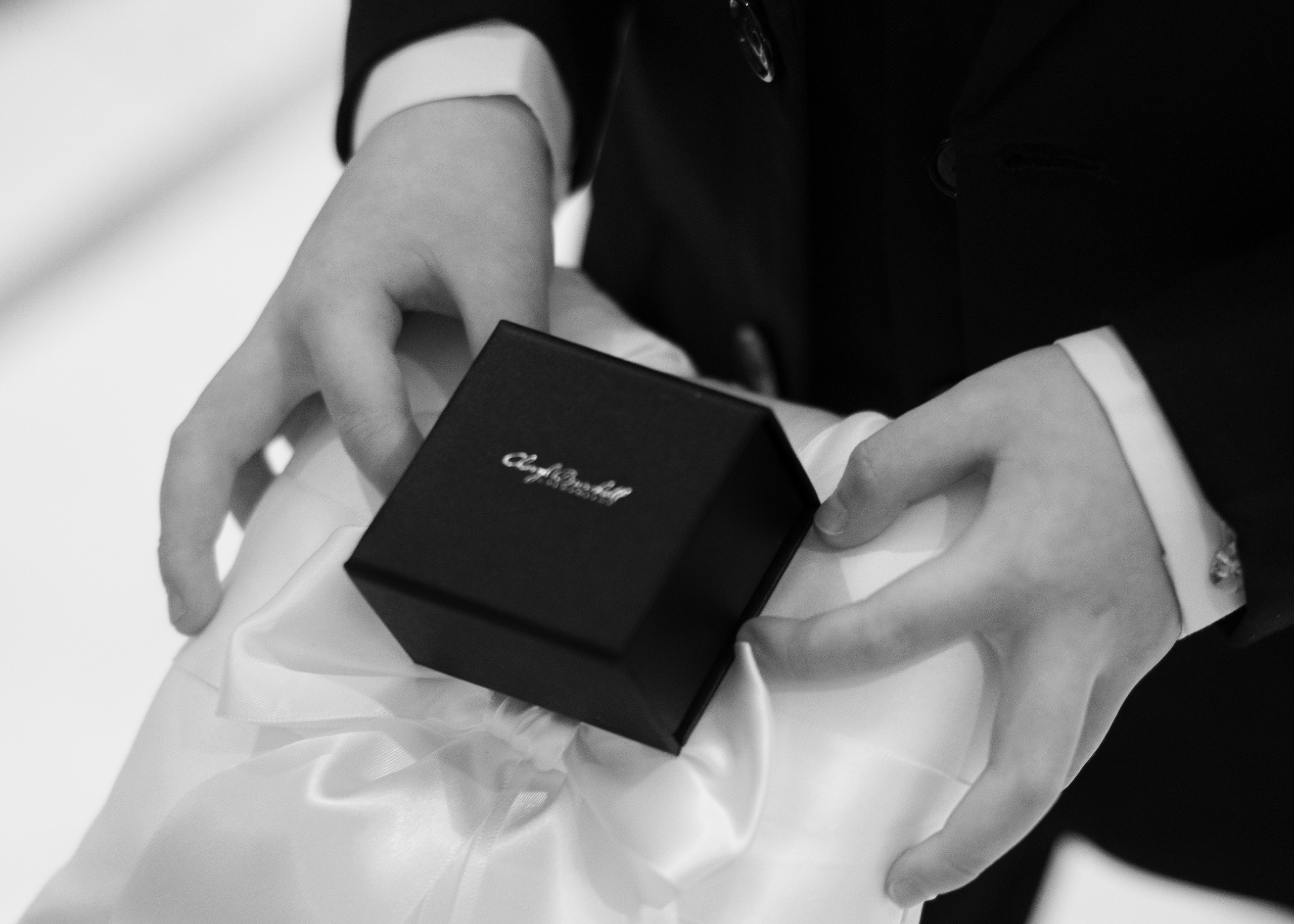 Ester & Conner. Wedding and Event photography, Kisses + Veil