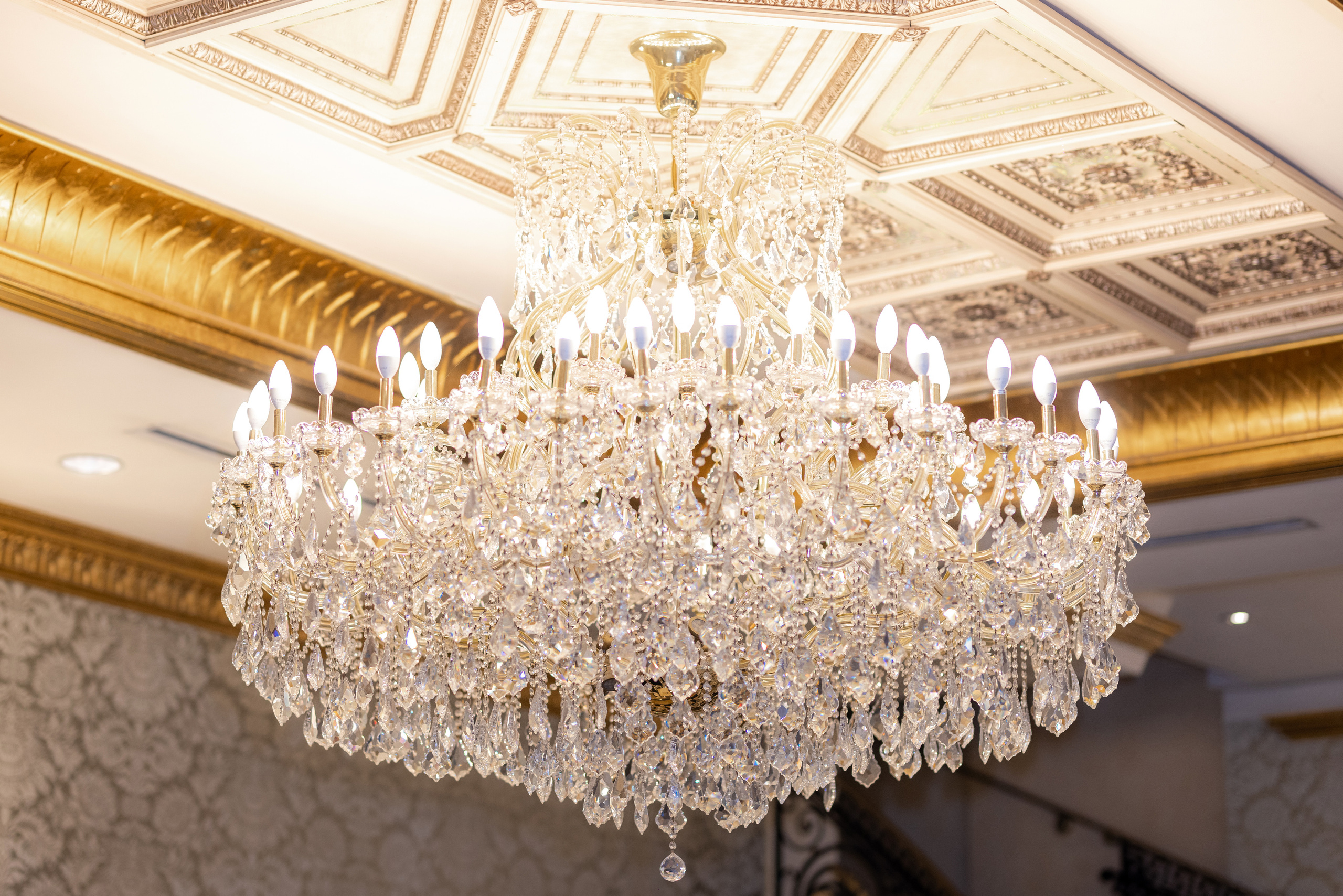 Ester & Conner. Wedding and Event photography, Kisses + Veil