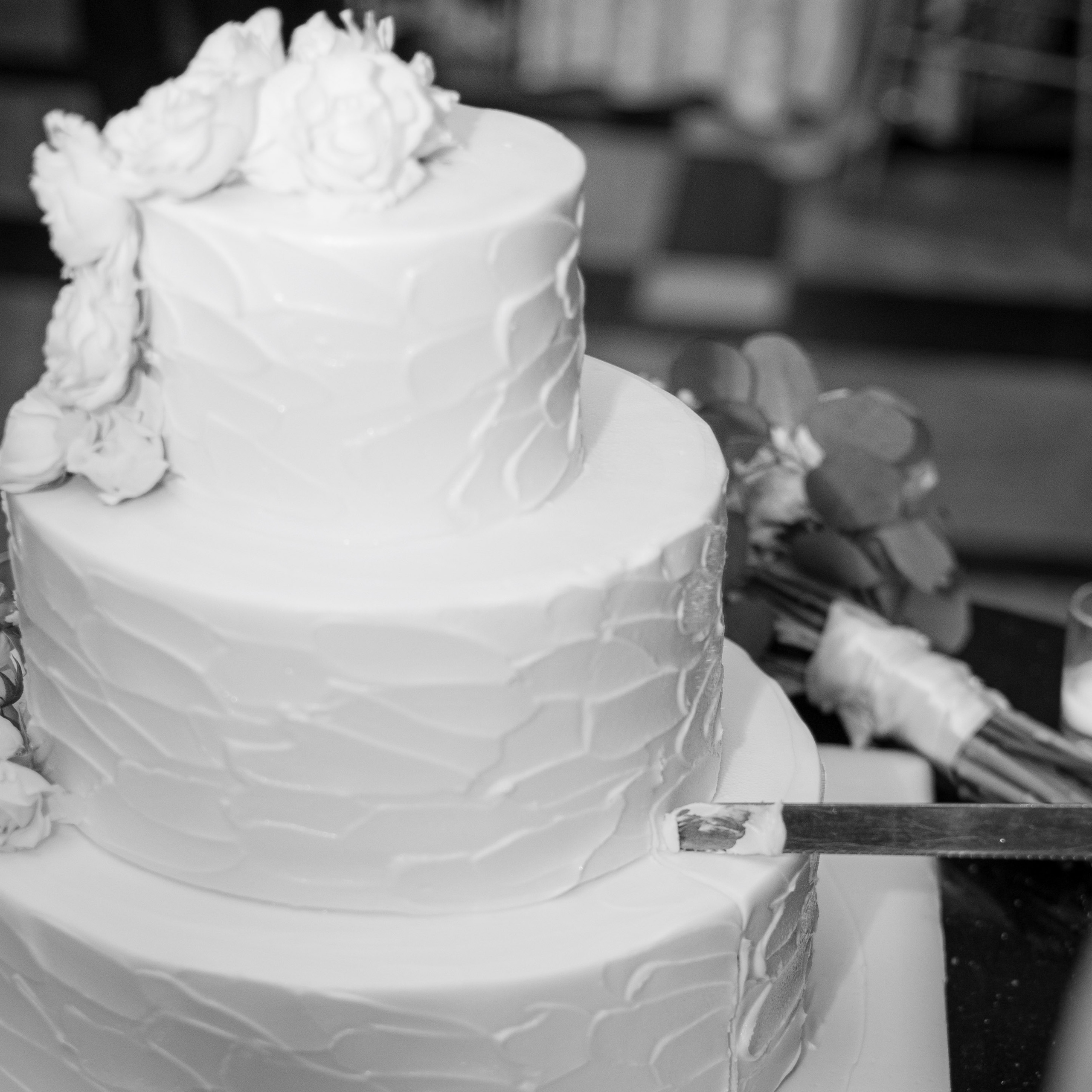 Ester & Conner. Wedding and Event photography, Kisses + Veil