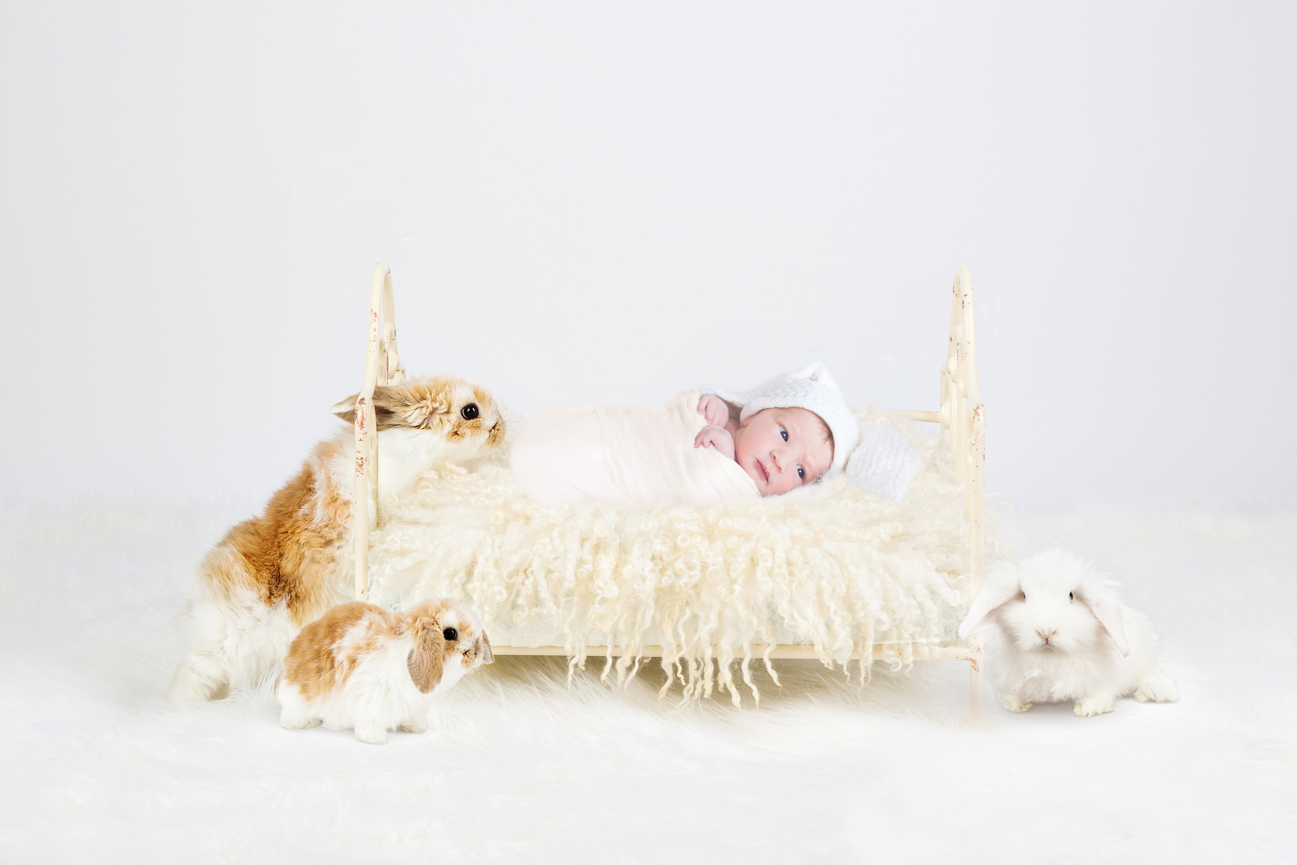 Newborn | Family | Maternity. Wedding and Event photography, Kisses + Veil