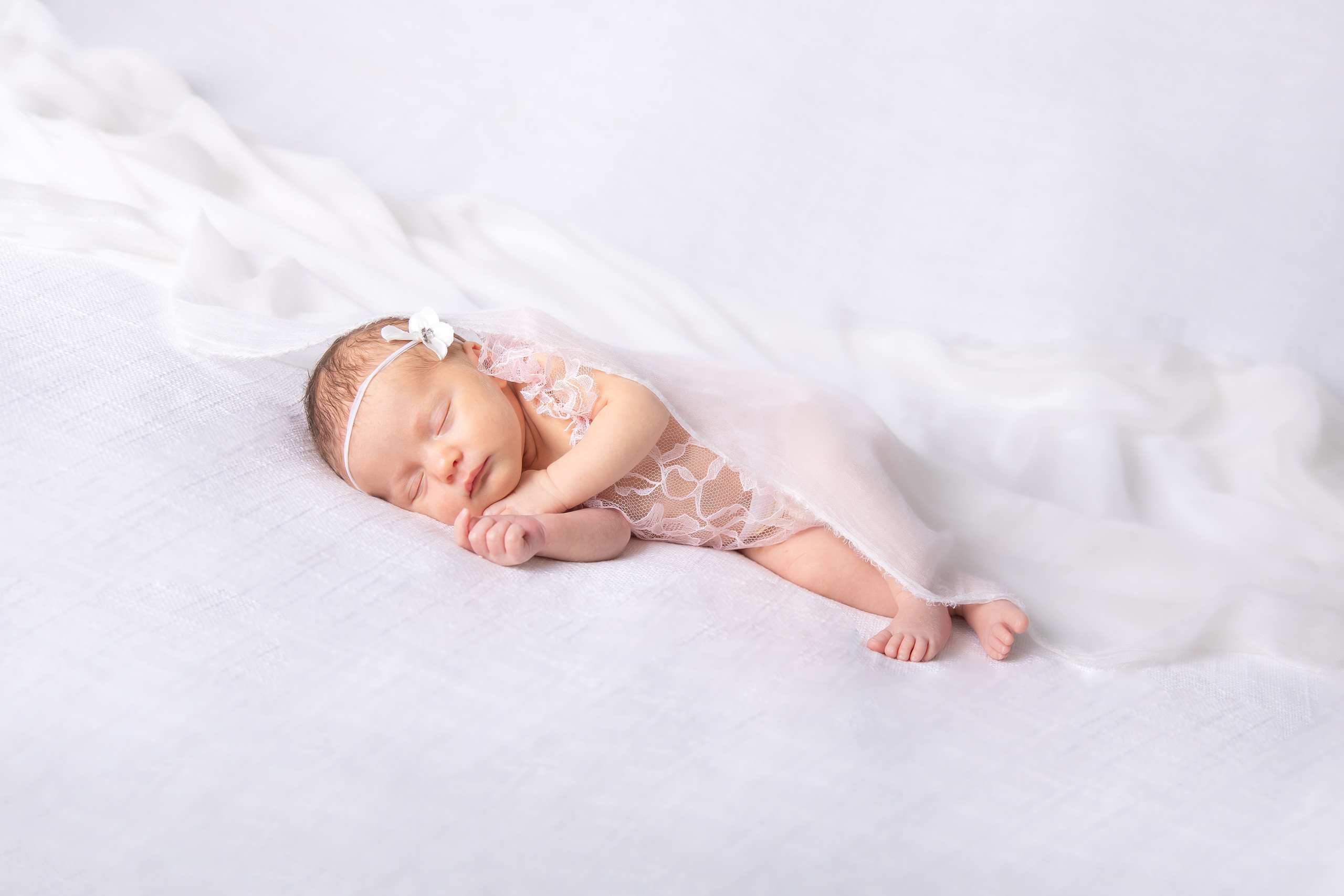 Newborn | Family | Maternity. Wedding and Event photography, Kisses + Veil