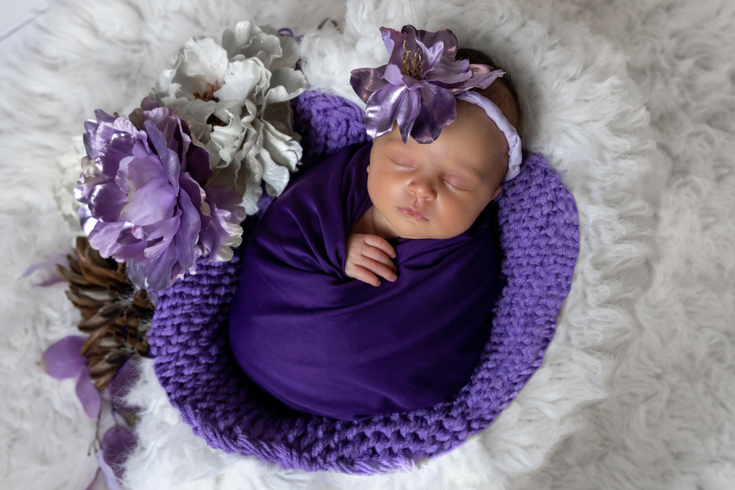 Newborn | Family | Maternity. Wedding and Event photography, Kisses + Veil