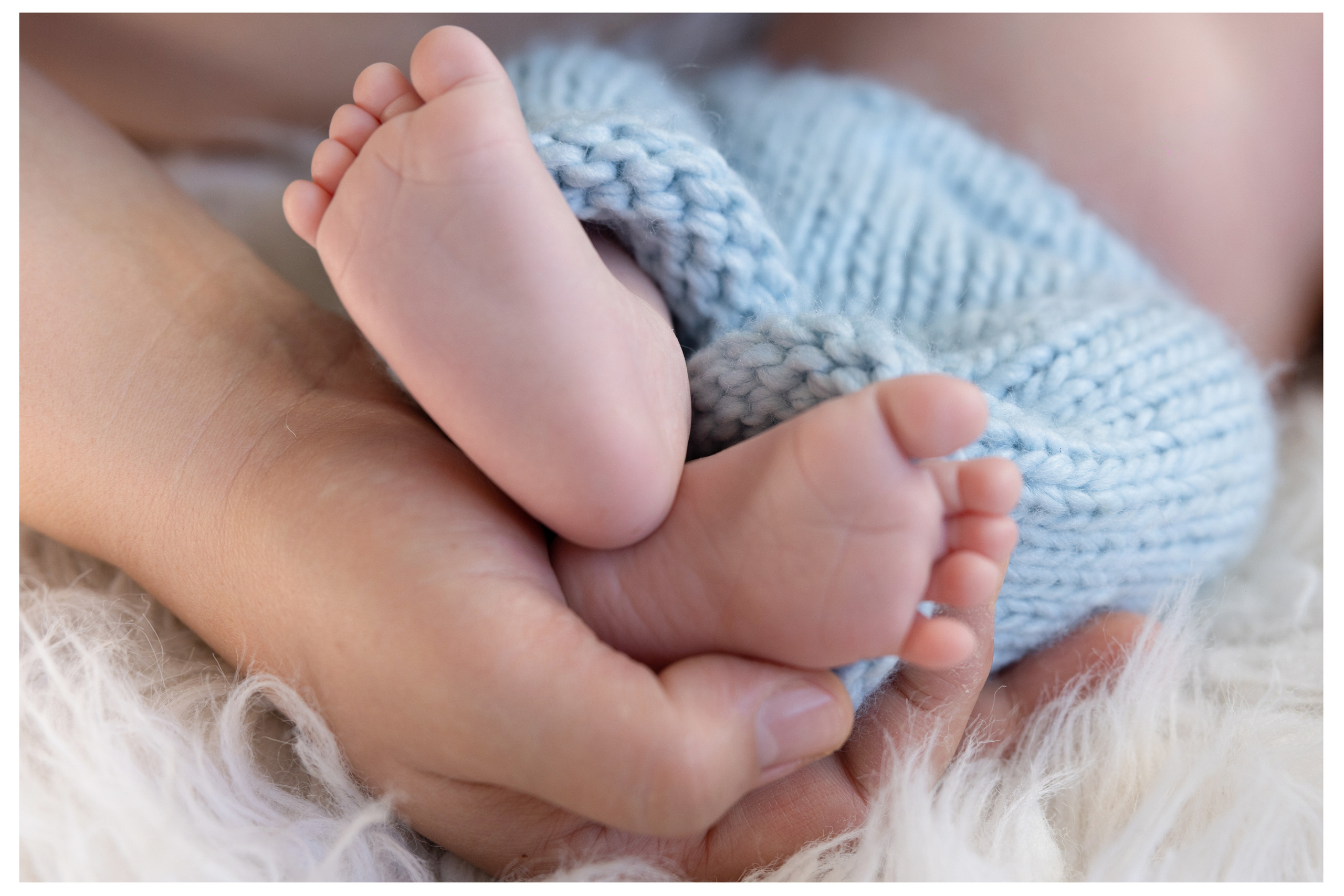 Newborn | Family | Maternity. Wedding and Event photography, Kisses + Veil