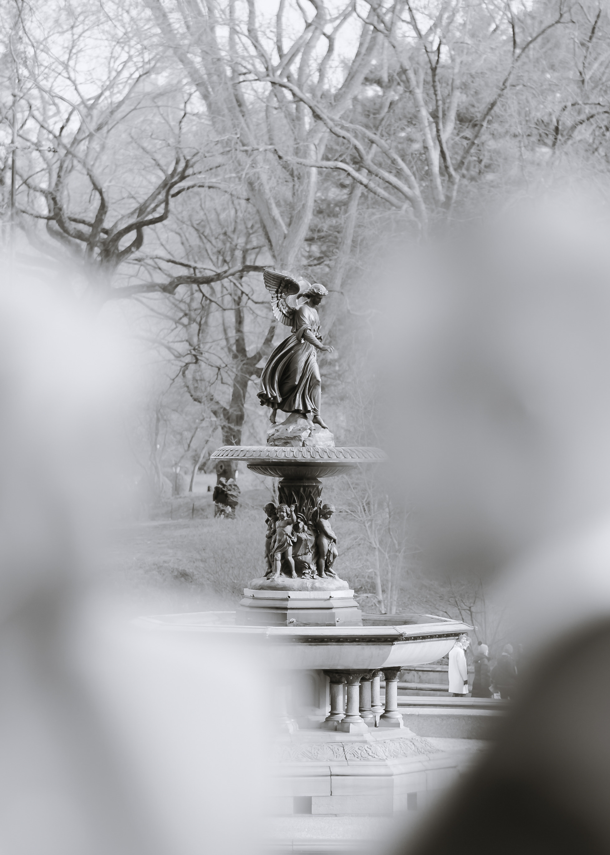 Engagement. Wedding and Event photography, Kisses + Veil