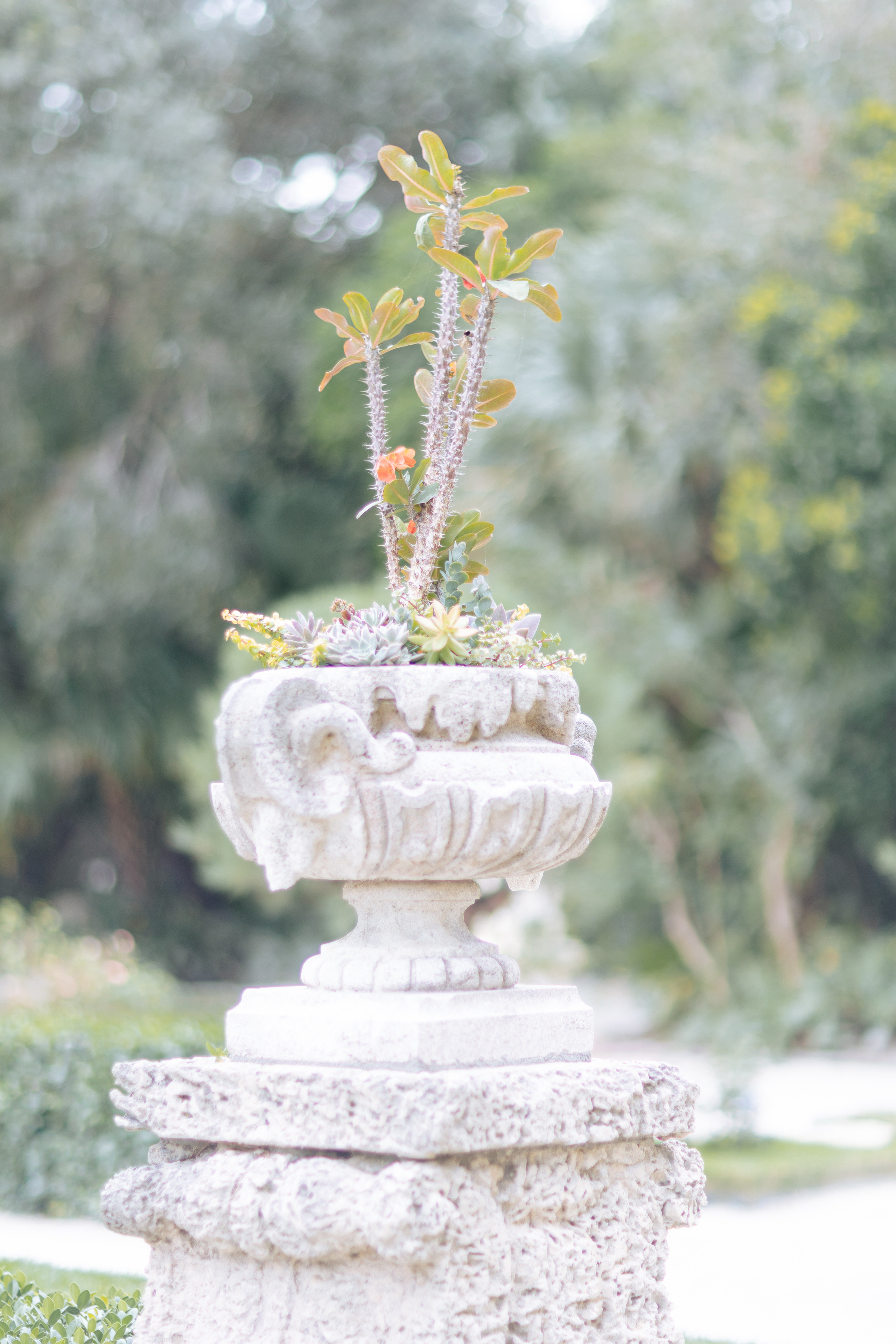 Wedding and Event photography, Kisses + Veil