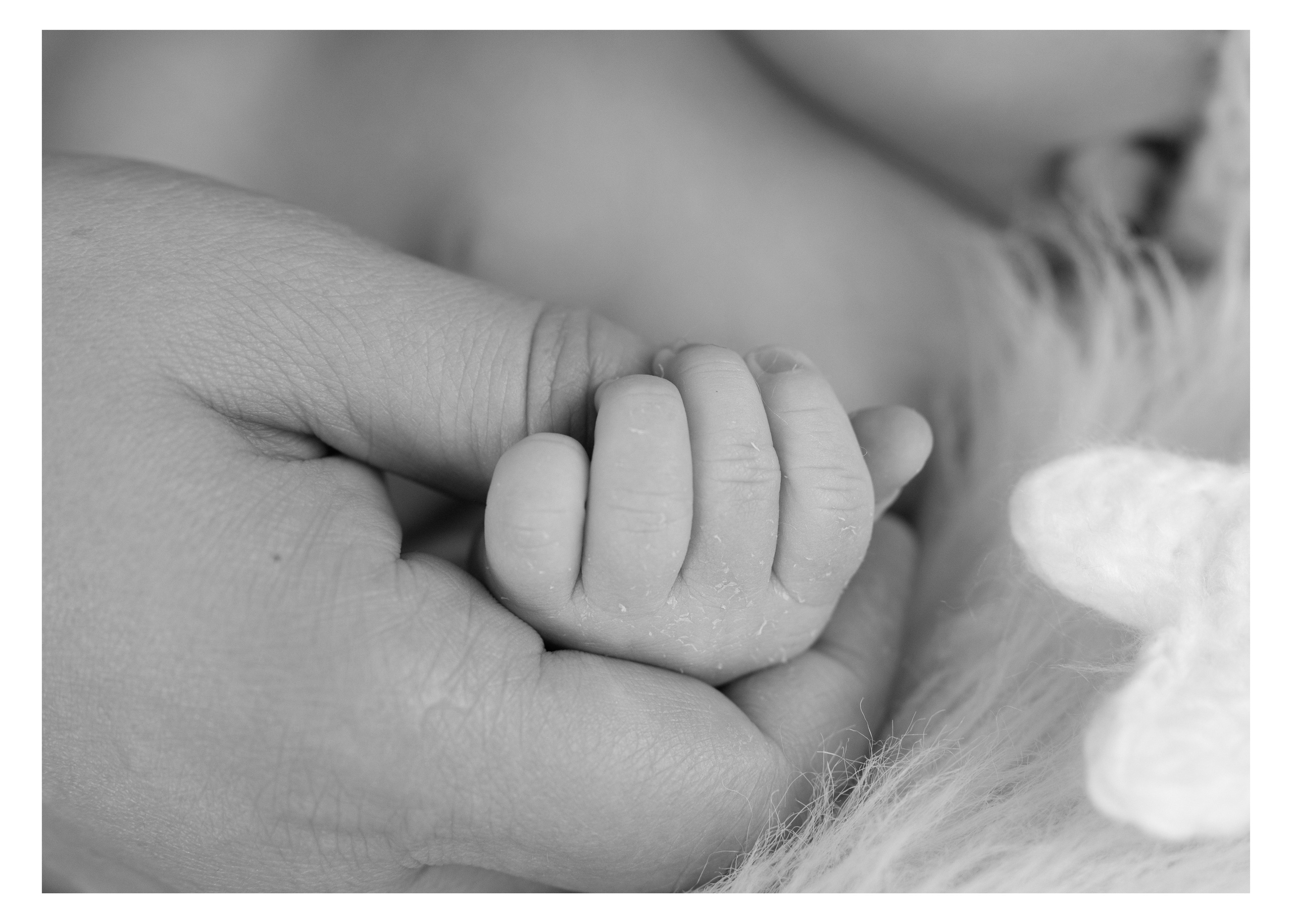 Newborn | Family | Maternity. Wedding and Event photography, Kisses + Veil