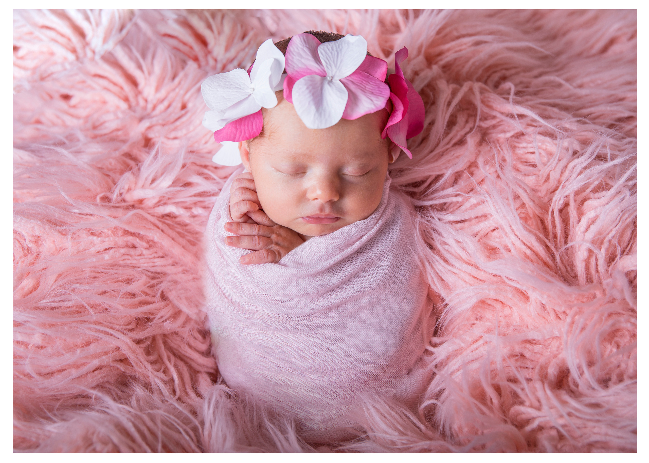 Newborn | Family | Maternity. Wedding and Event photography, Kisses + Veil