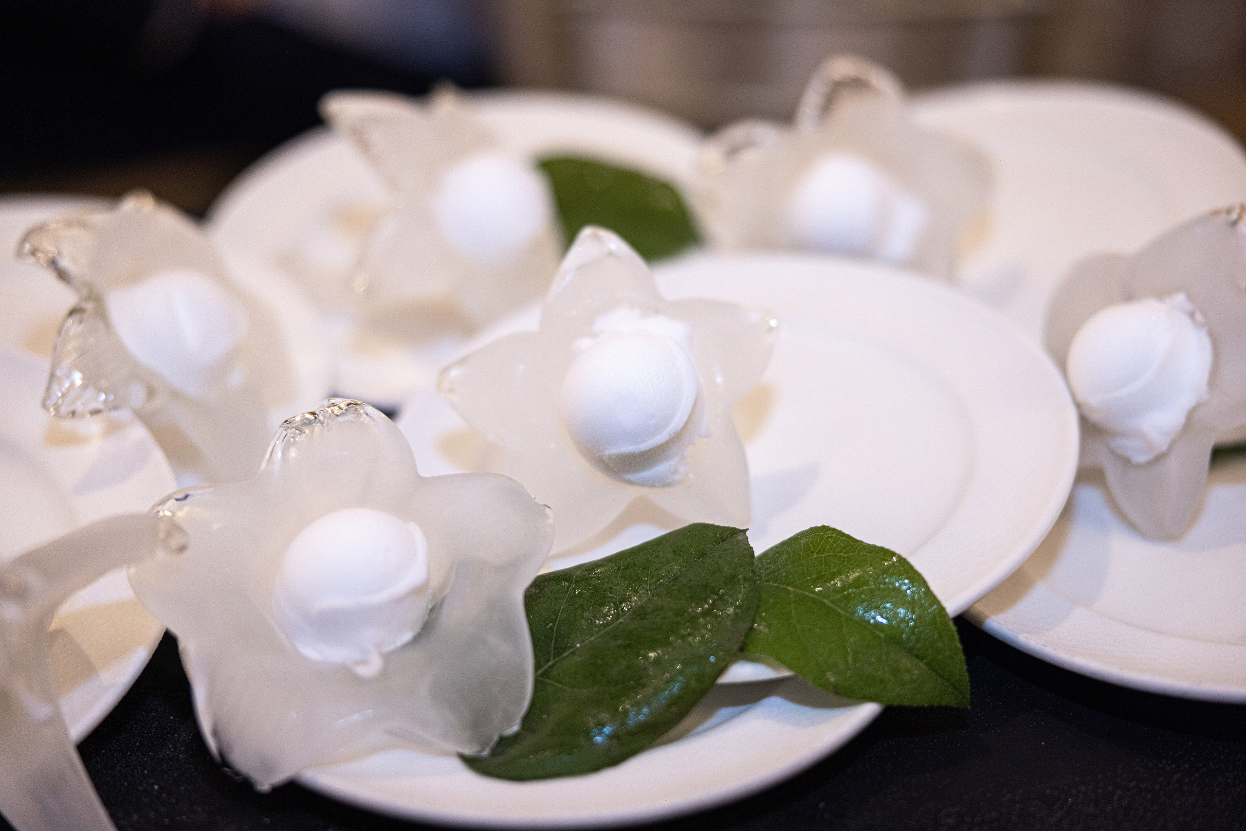 Ester & Conner. Wedding and Event photography, Kisses + Veil