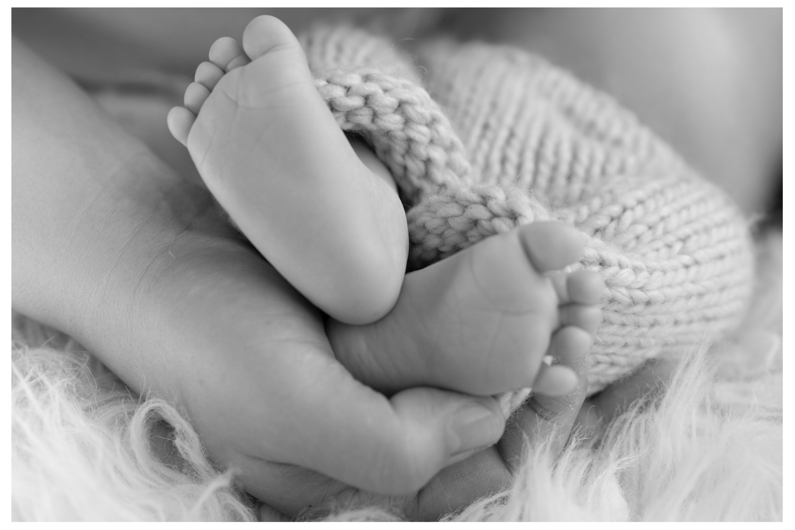 Newborn | Family | Maternity. Wedding and Event photography, Kisses + Veil